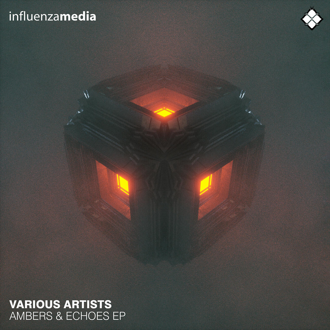 Релиз Ambers & Echoes EP