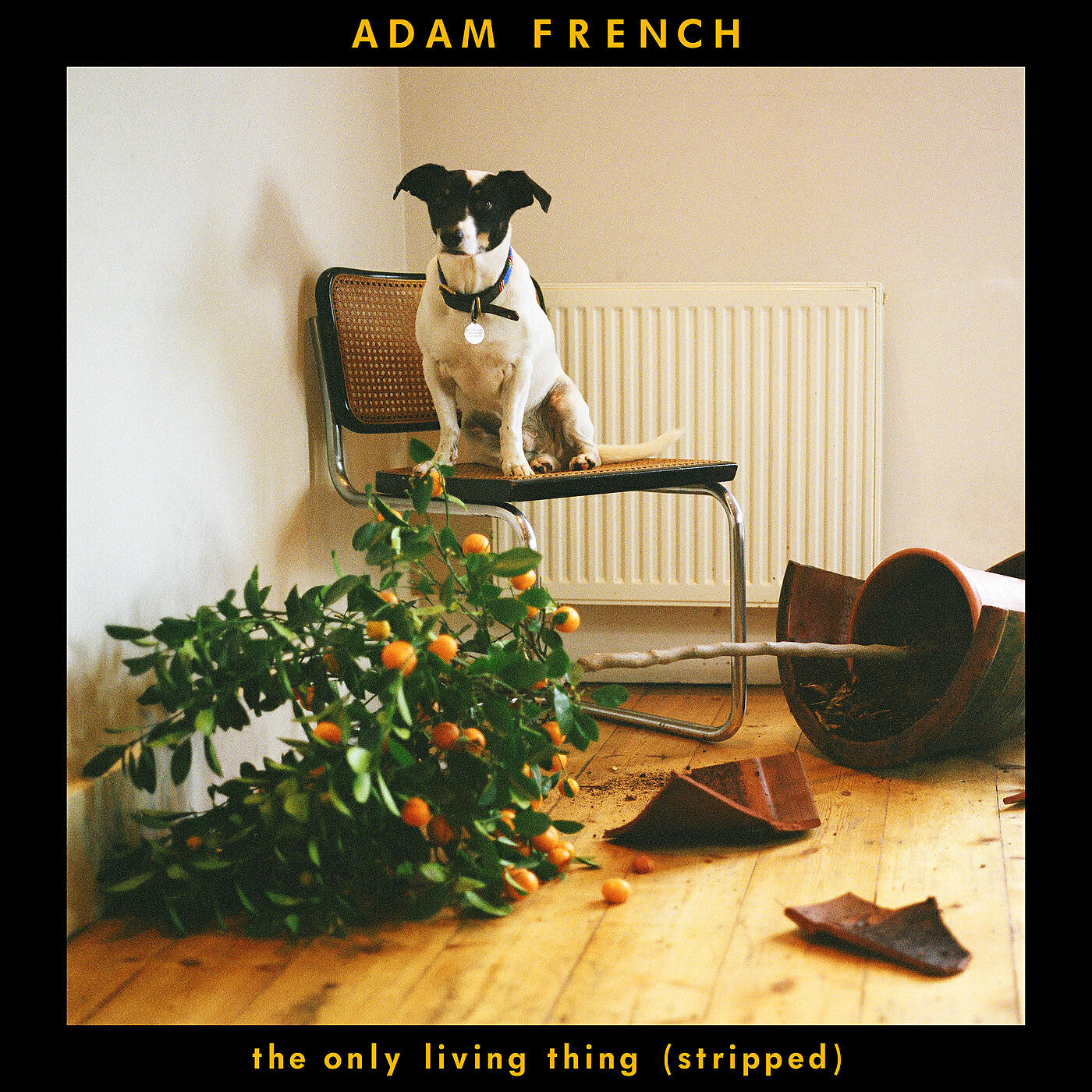 Релиз The Only Living Thing