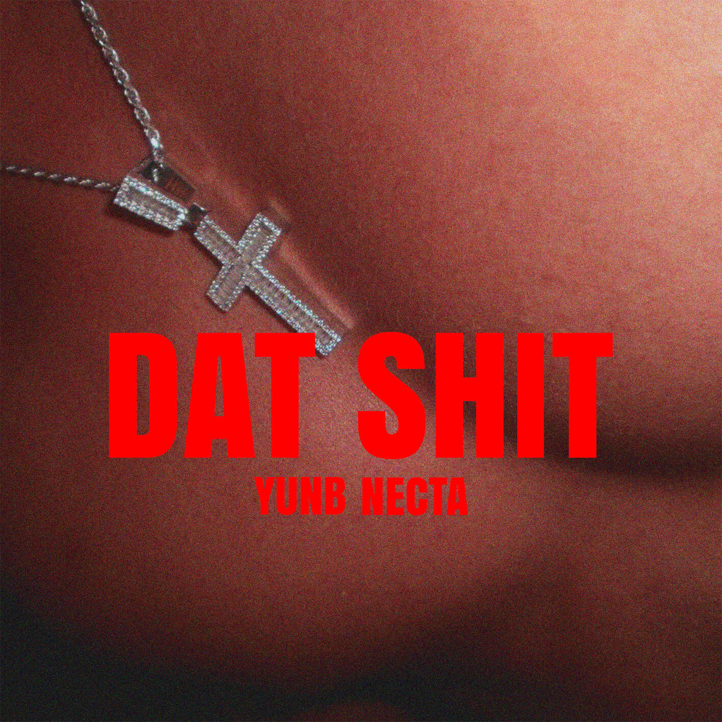 Релиз DAT SHIT