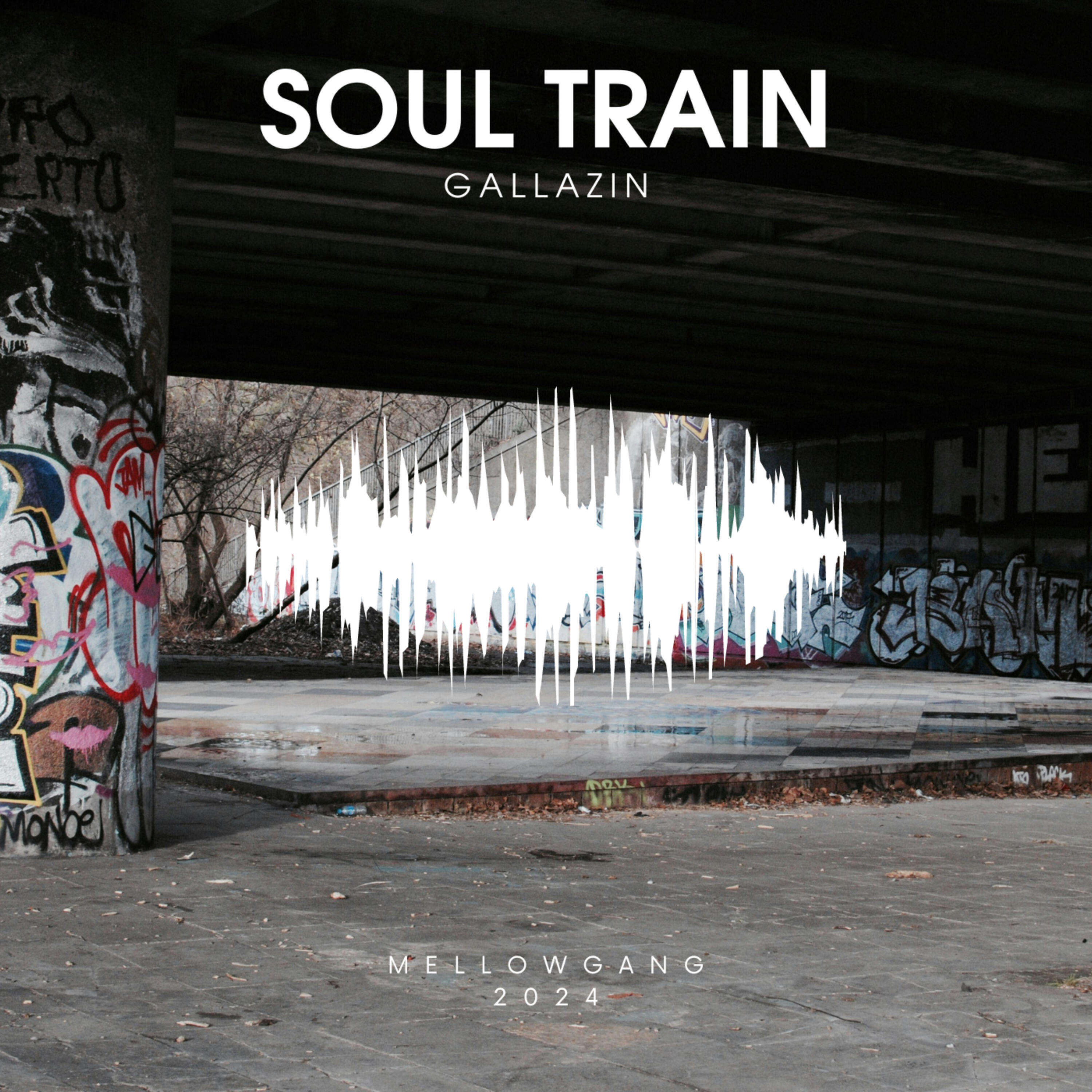 Релиз Soul Train