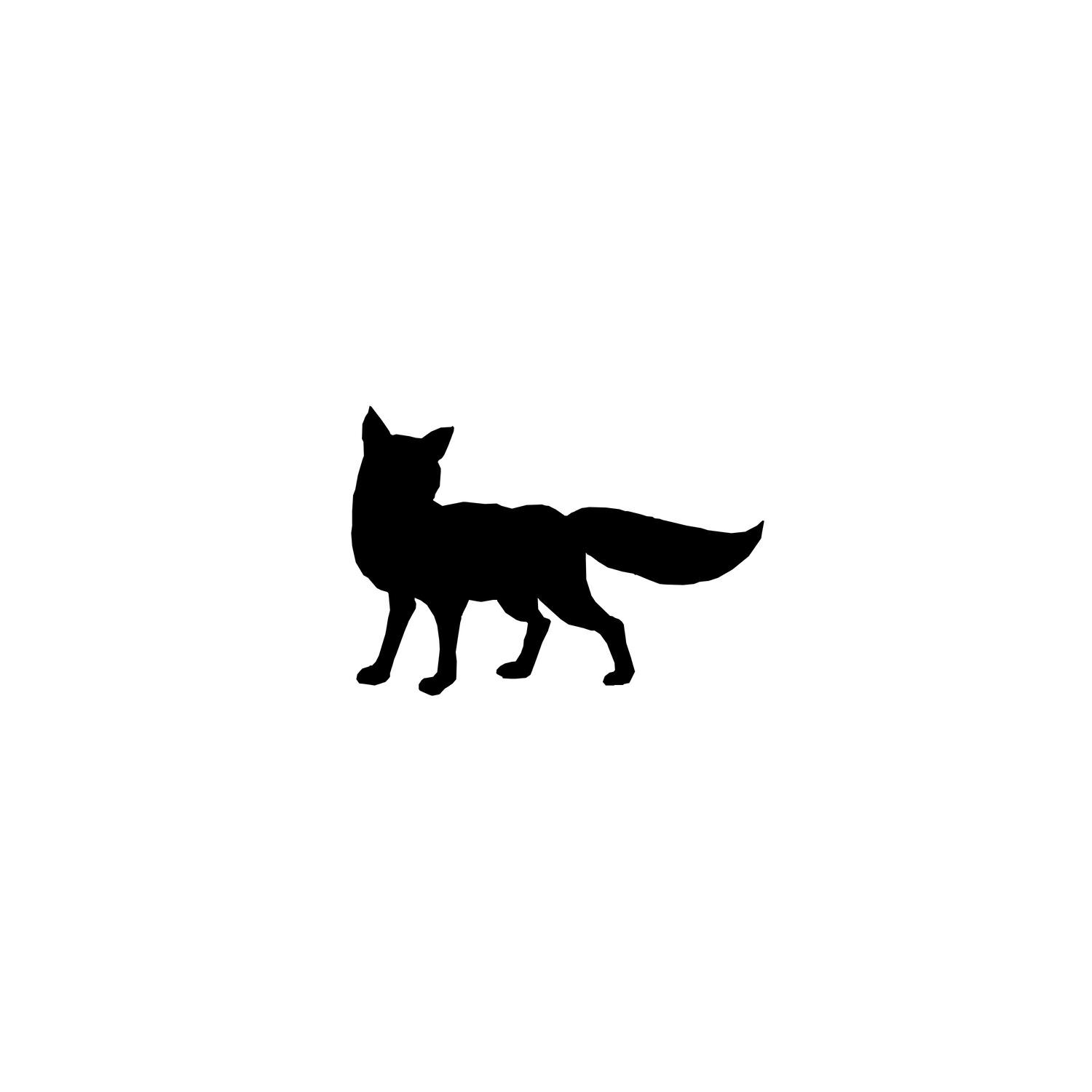 Релиз el zorro