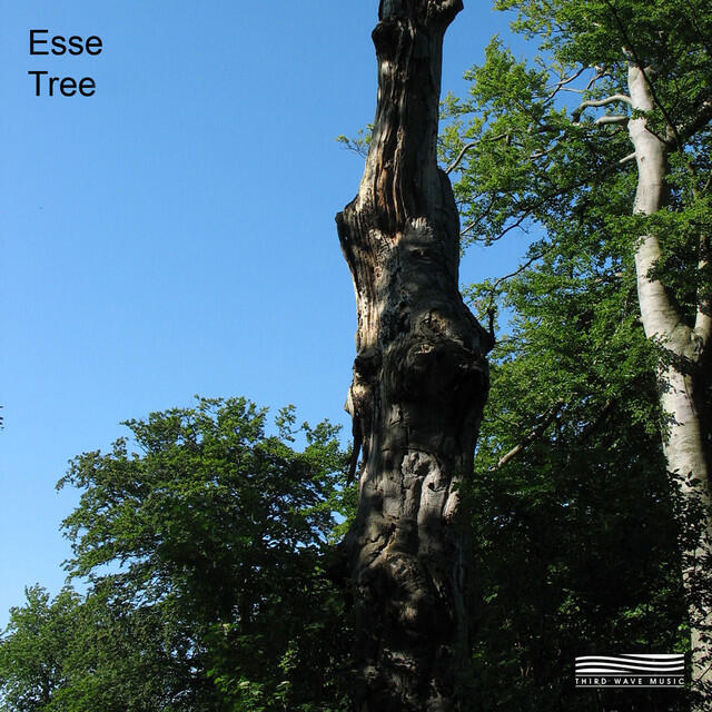 Релиз Tree