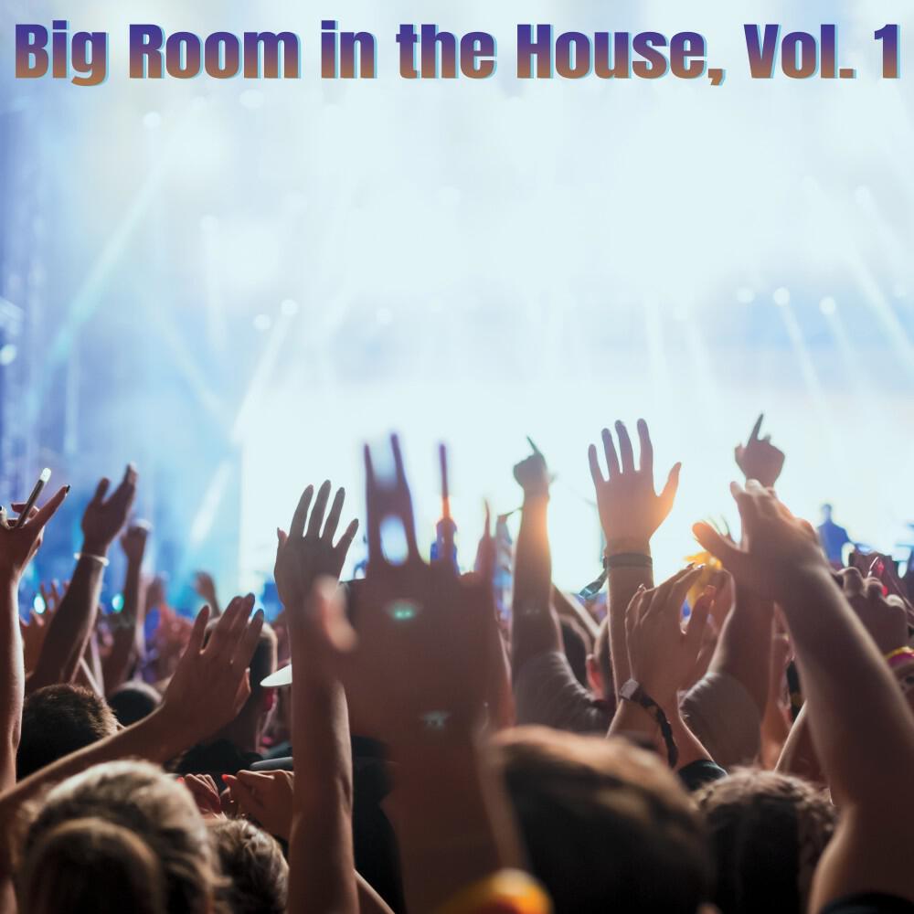 Релиз Big Room in the House, Vol. 1