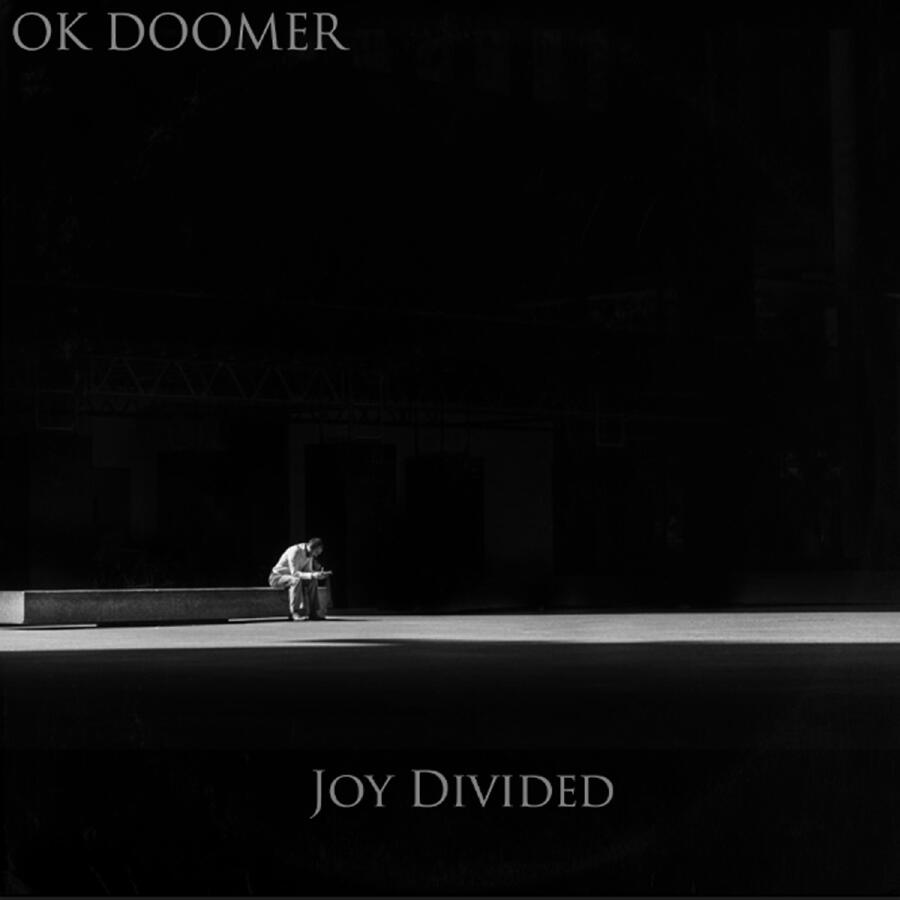 Релиз Joy Divided