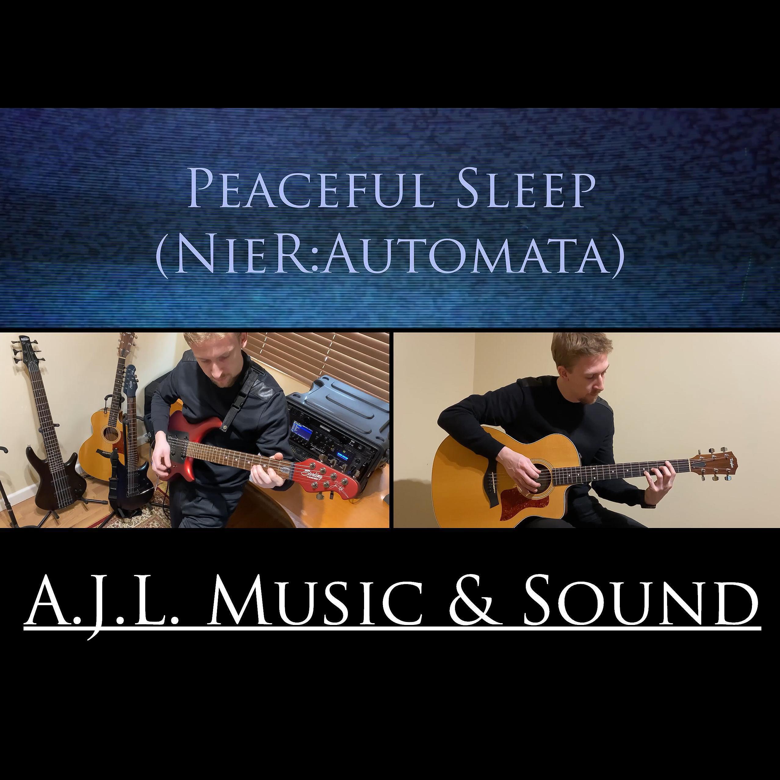 Релиз Peaceful Sleep - Nier Automata (Cover)