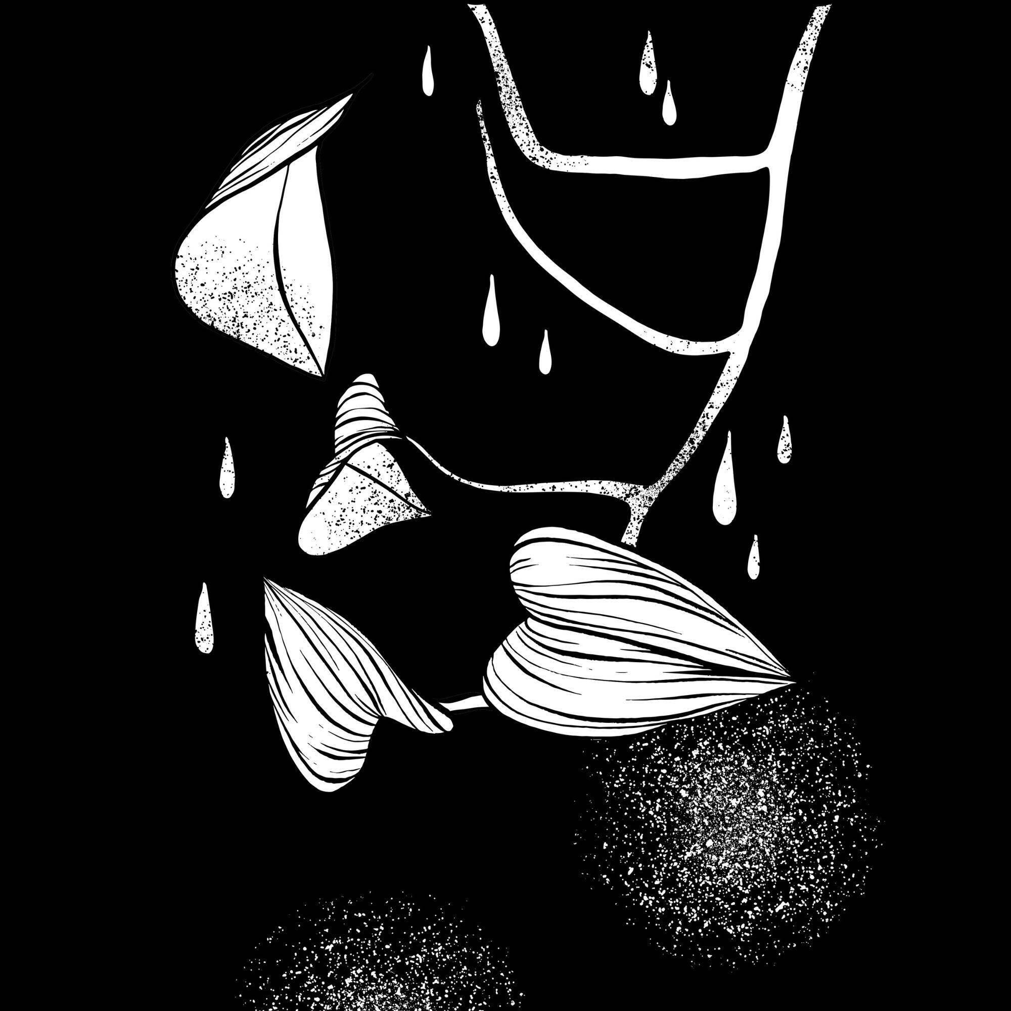 Релиз Stop The Rain