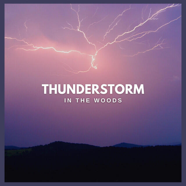Thunderstorm Global Project from TraxLab