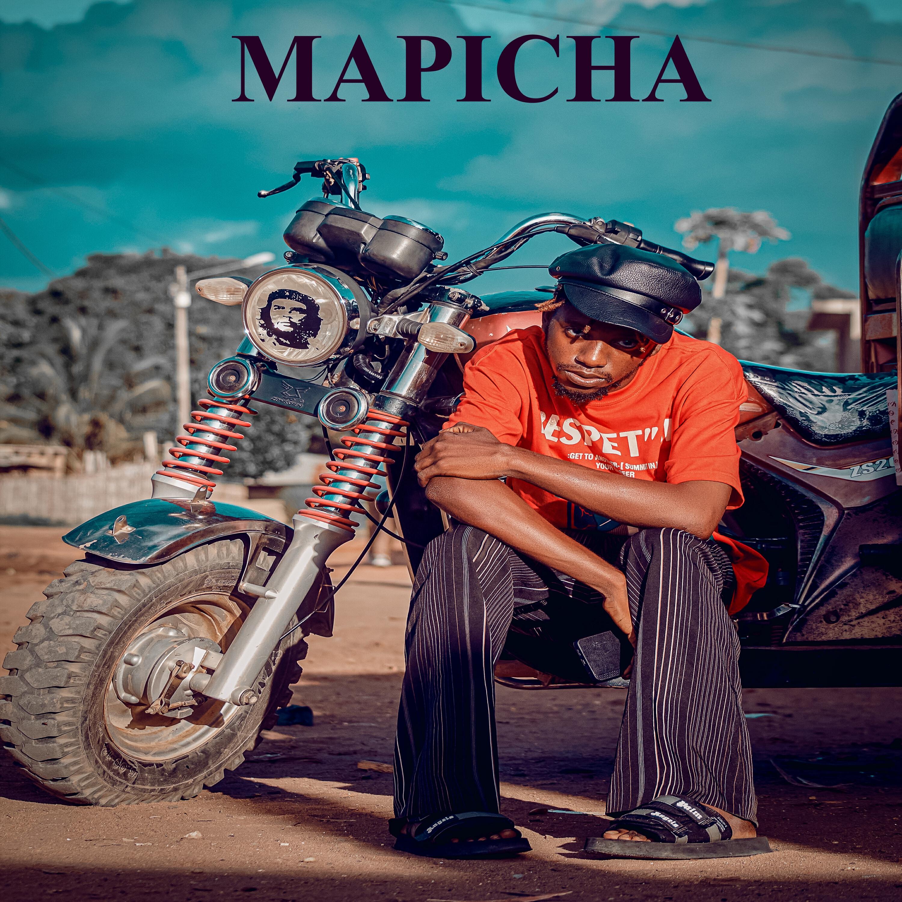 Релиз Mapicha