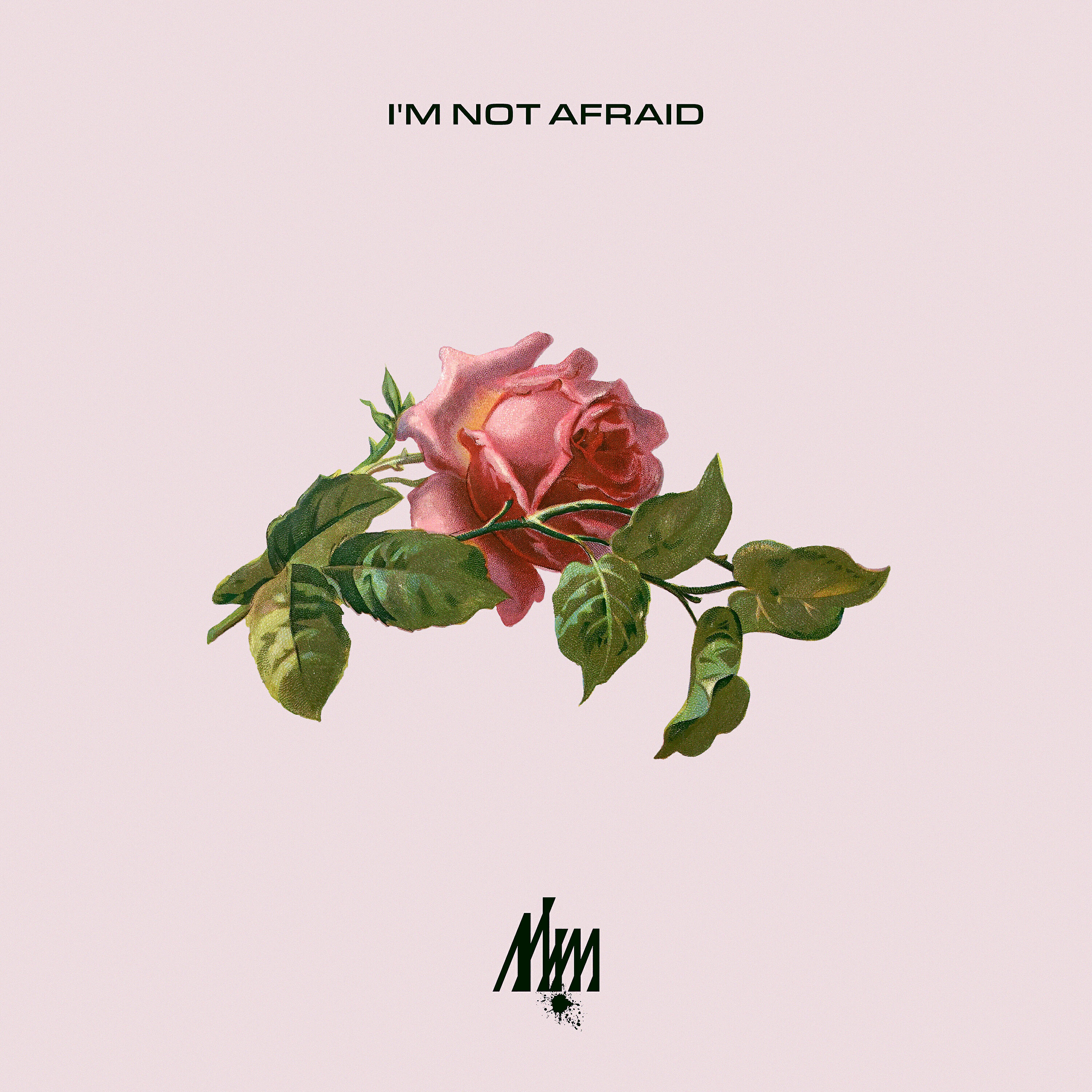 Релиз I'm Not Afraid