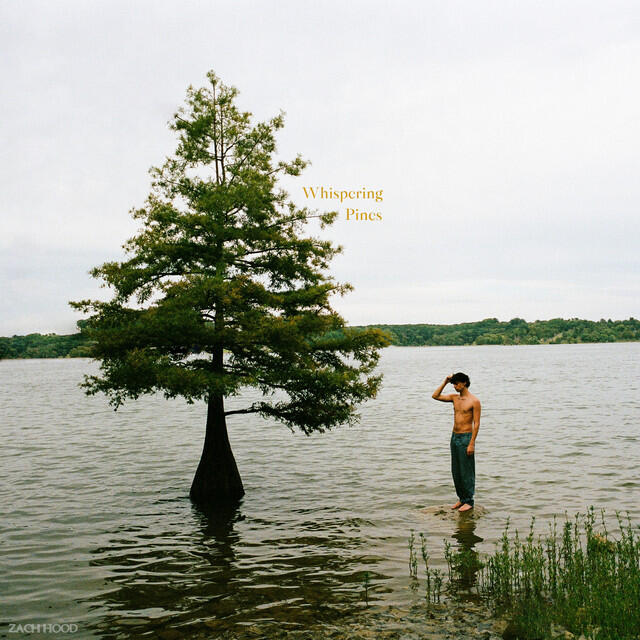 Релиз Whispering Pines