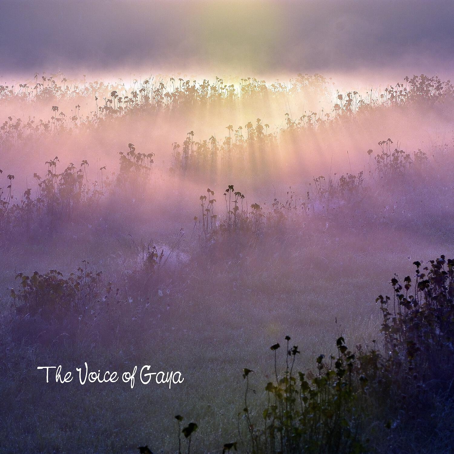 Релиз The Voice of Gaya