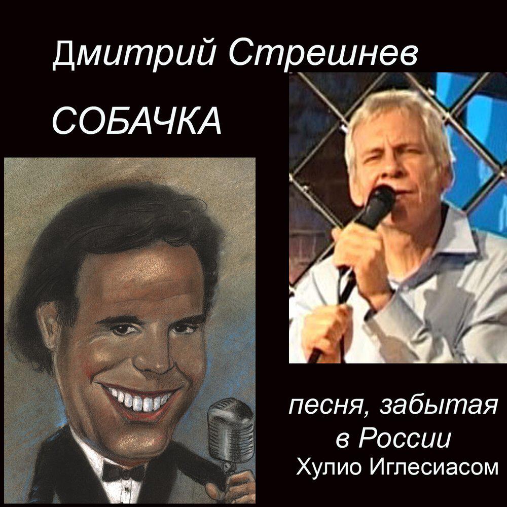 Дмитрий Стрешнев