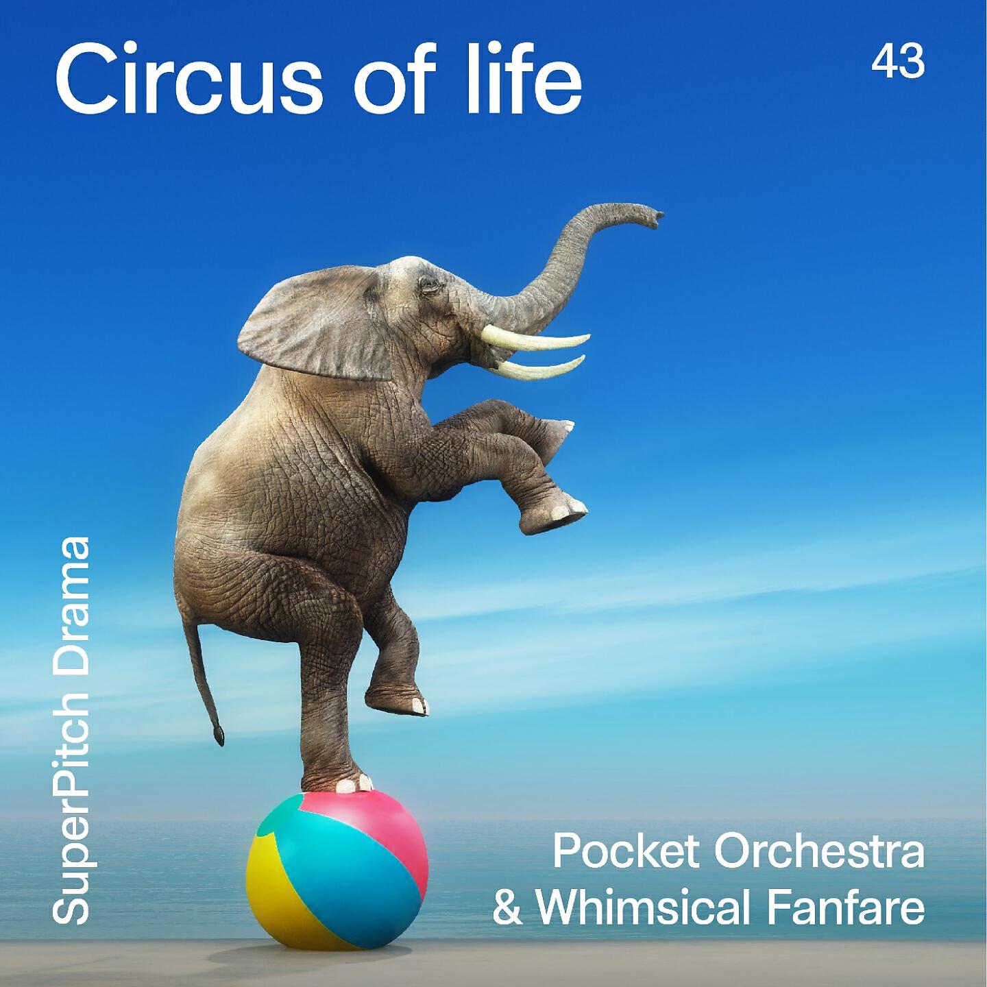 Релиз Circus of Life