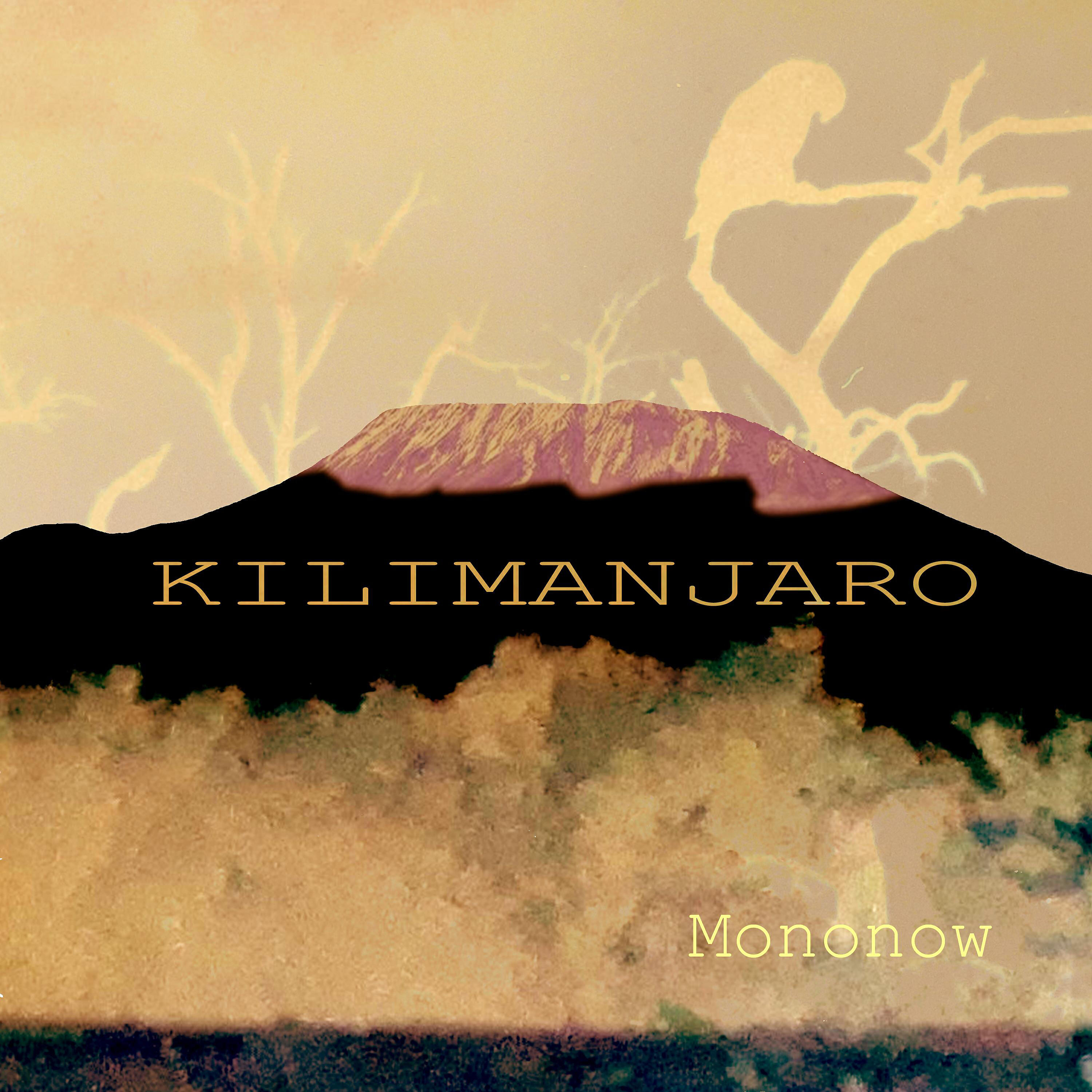 Постер альбома Kilimanjaro