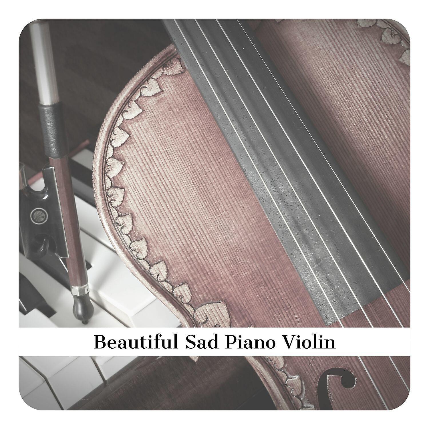 Violin and Piano Relax