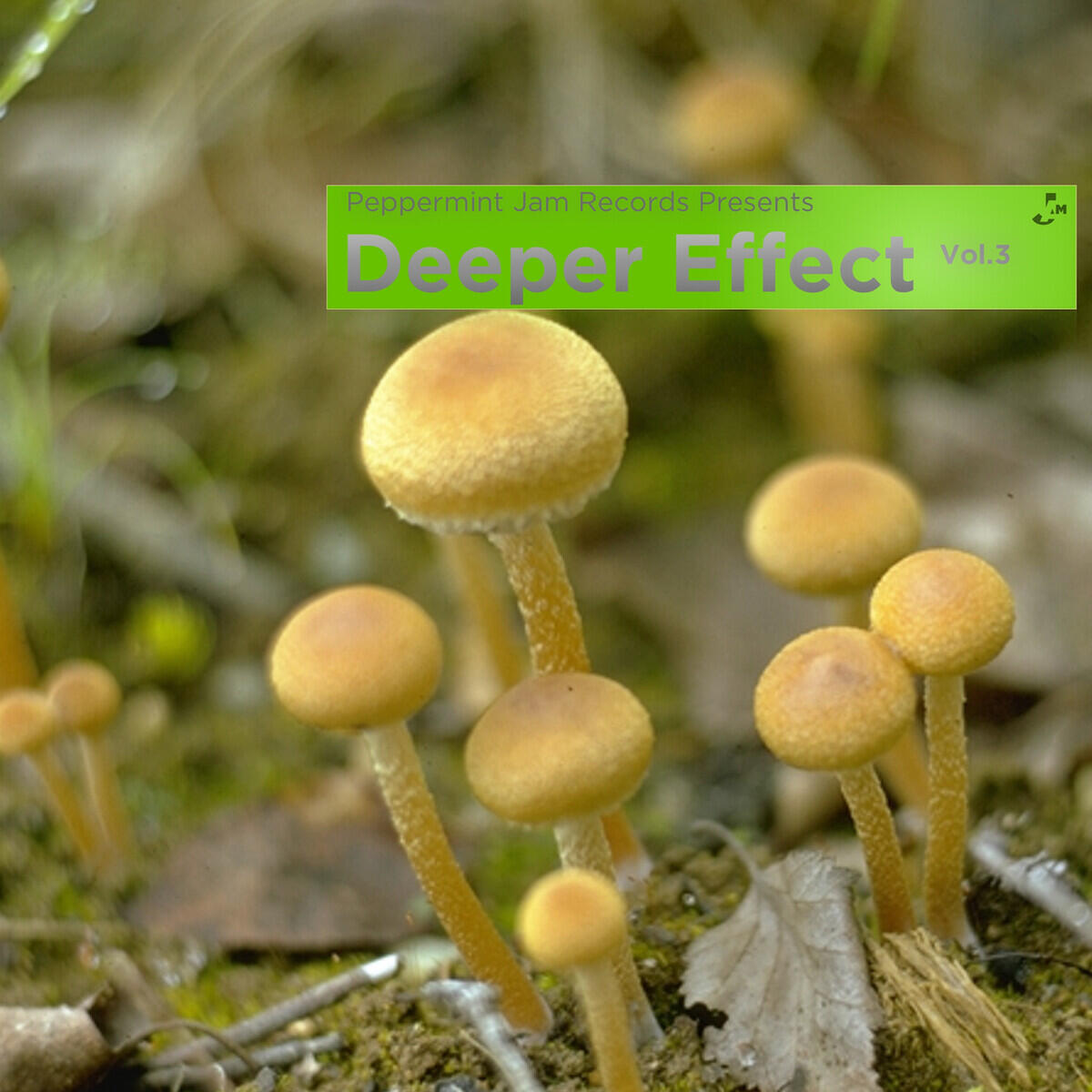Релиз Peppermint Jam Records Pres. Deeper Effect, Vol. 3