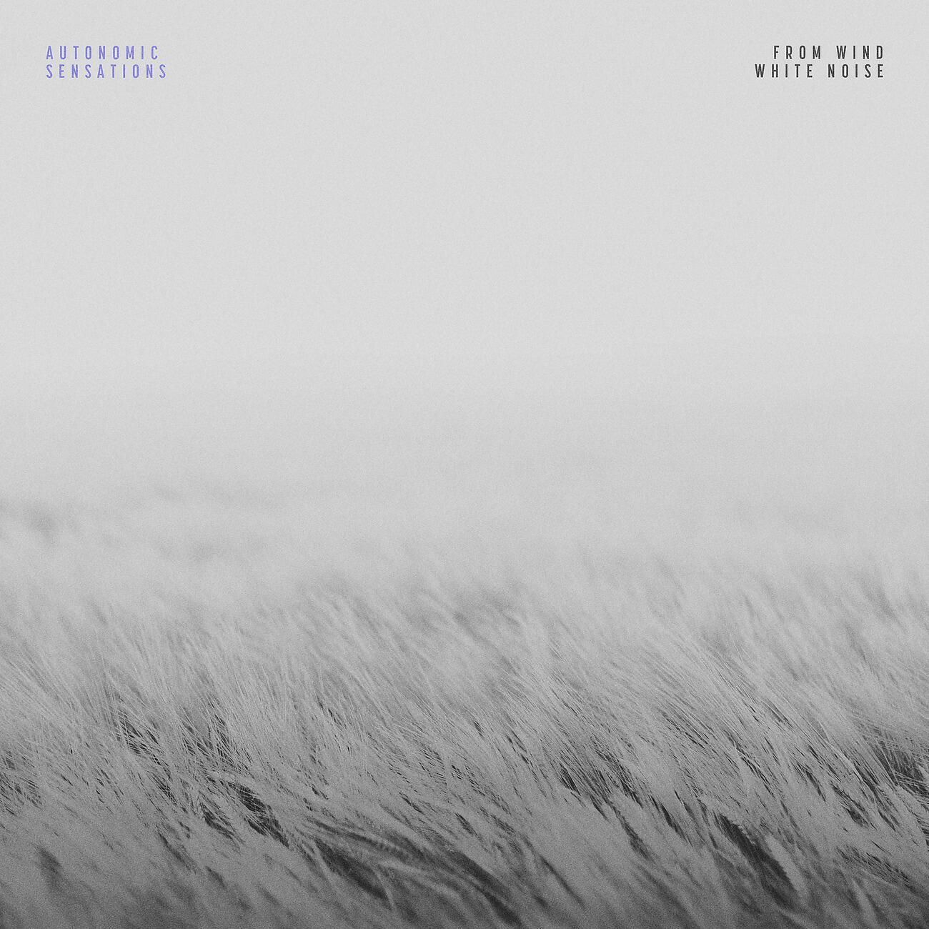 Релиз From Wind White Noise