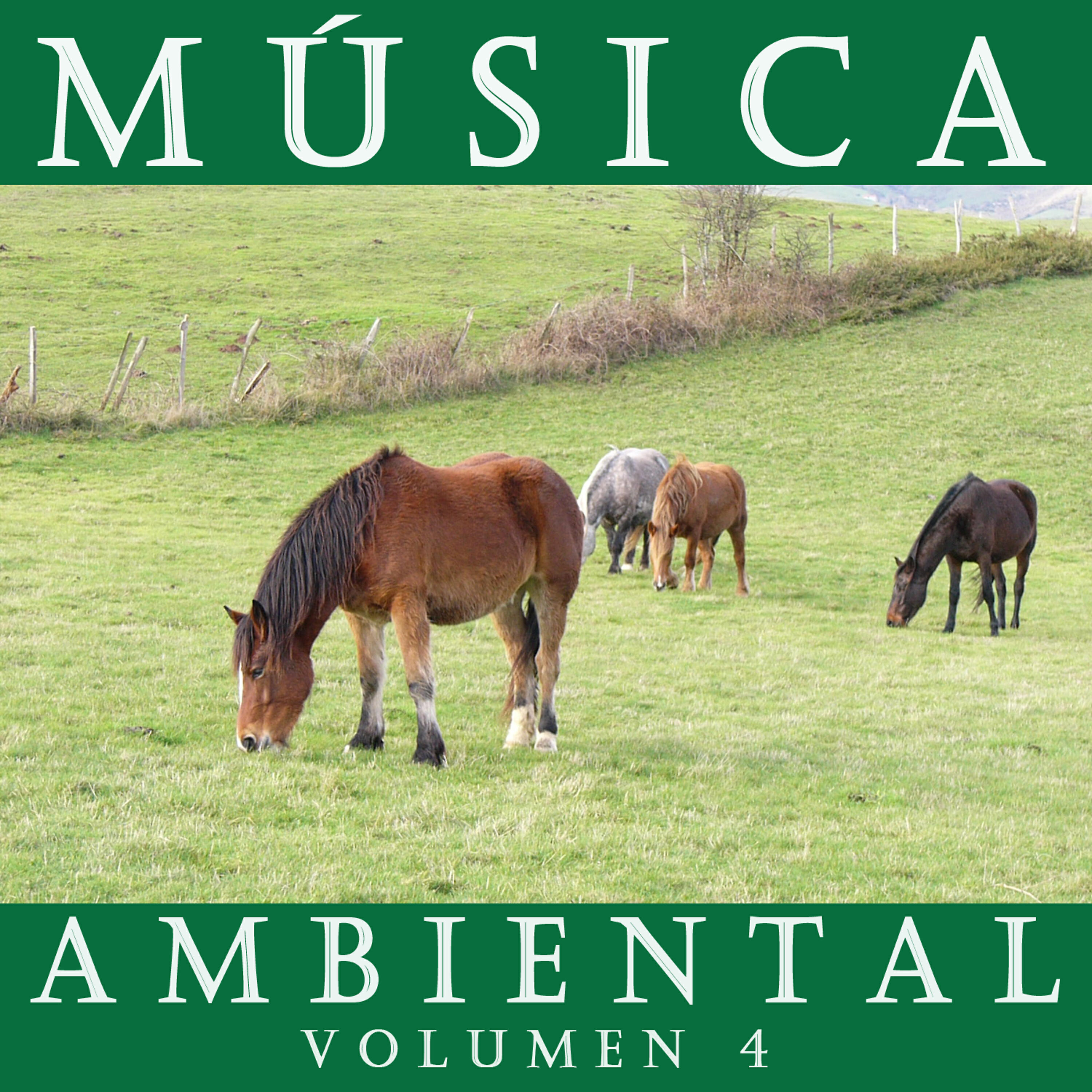 Релиз Música Ambiental Vol. 4