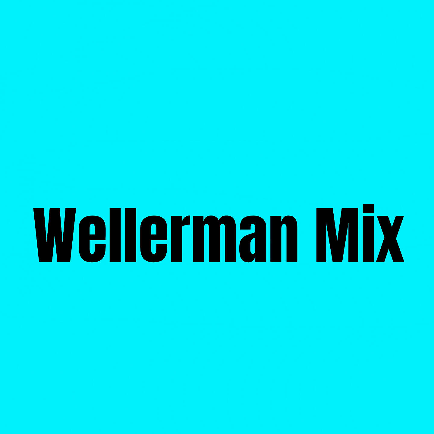 Релиз Wellerman Mix