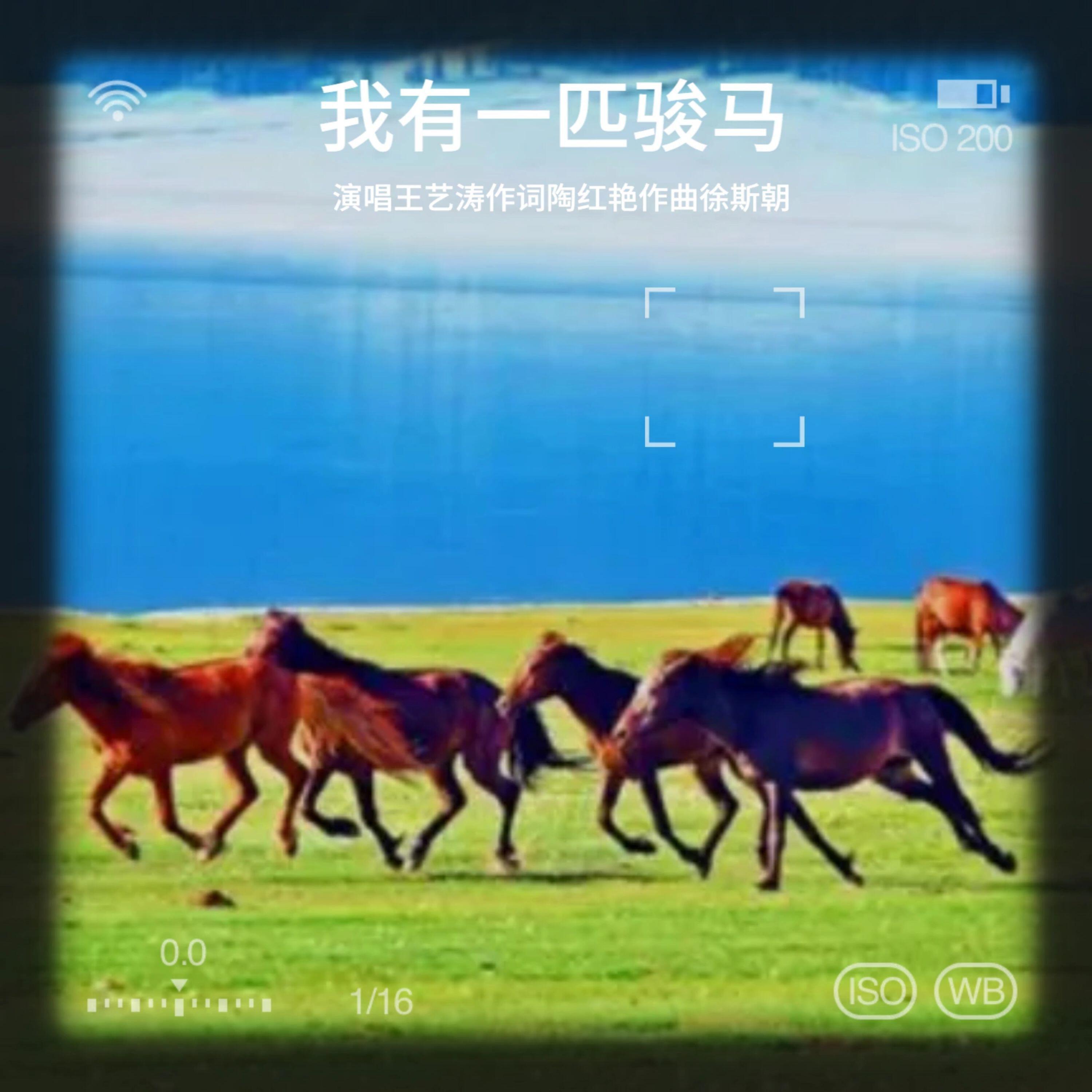 Релиз 我有一匹骏马