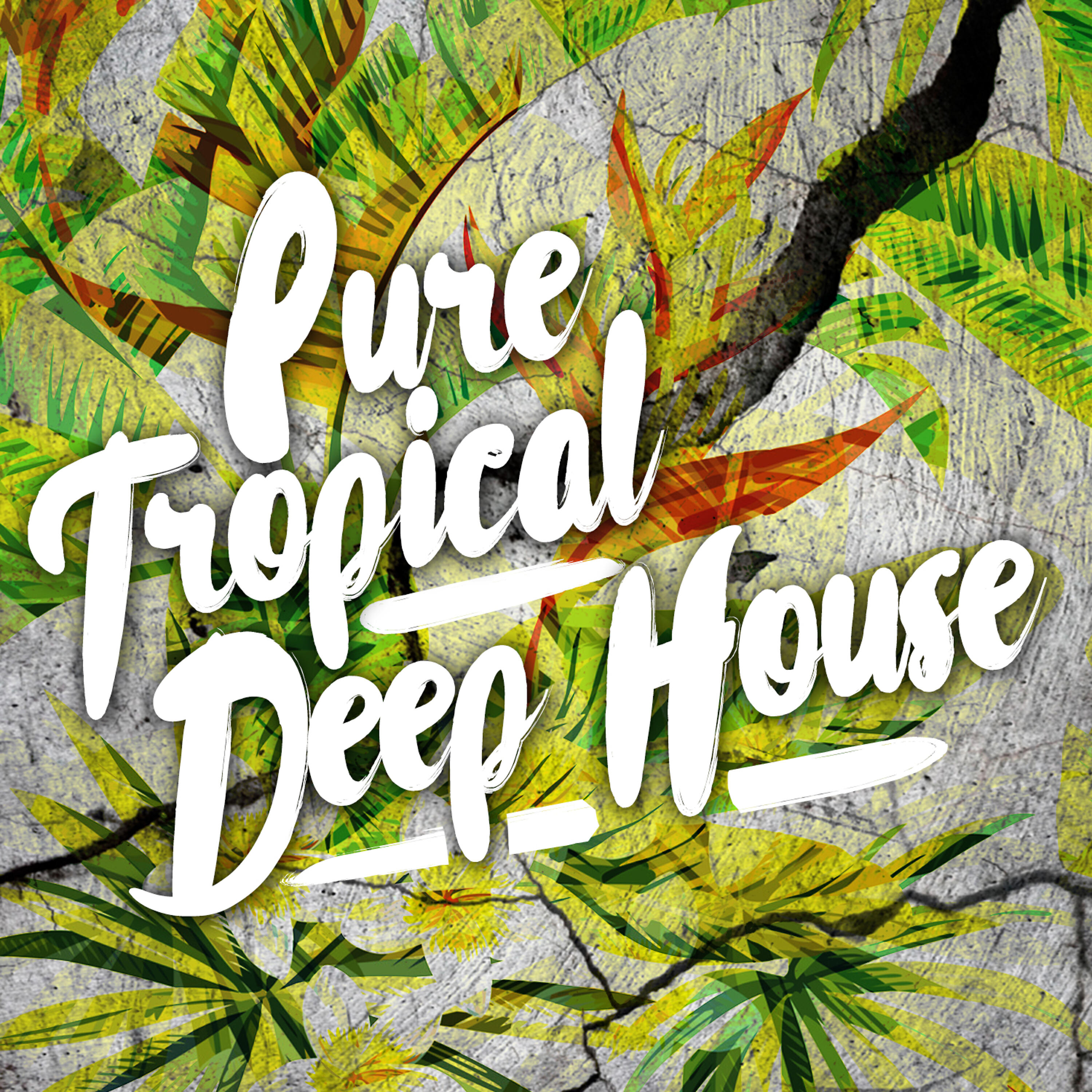 Релиз Pure Tropical Deep House