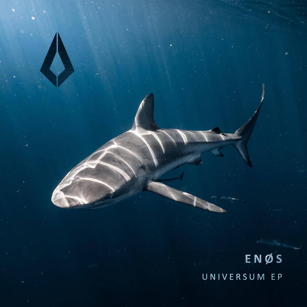 Релиз Universum