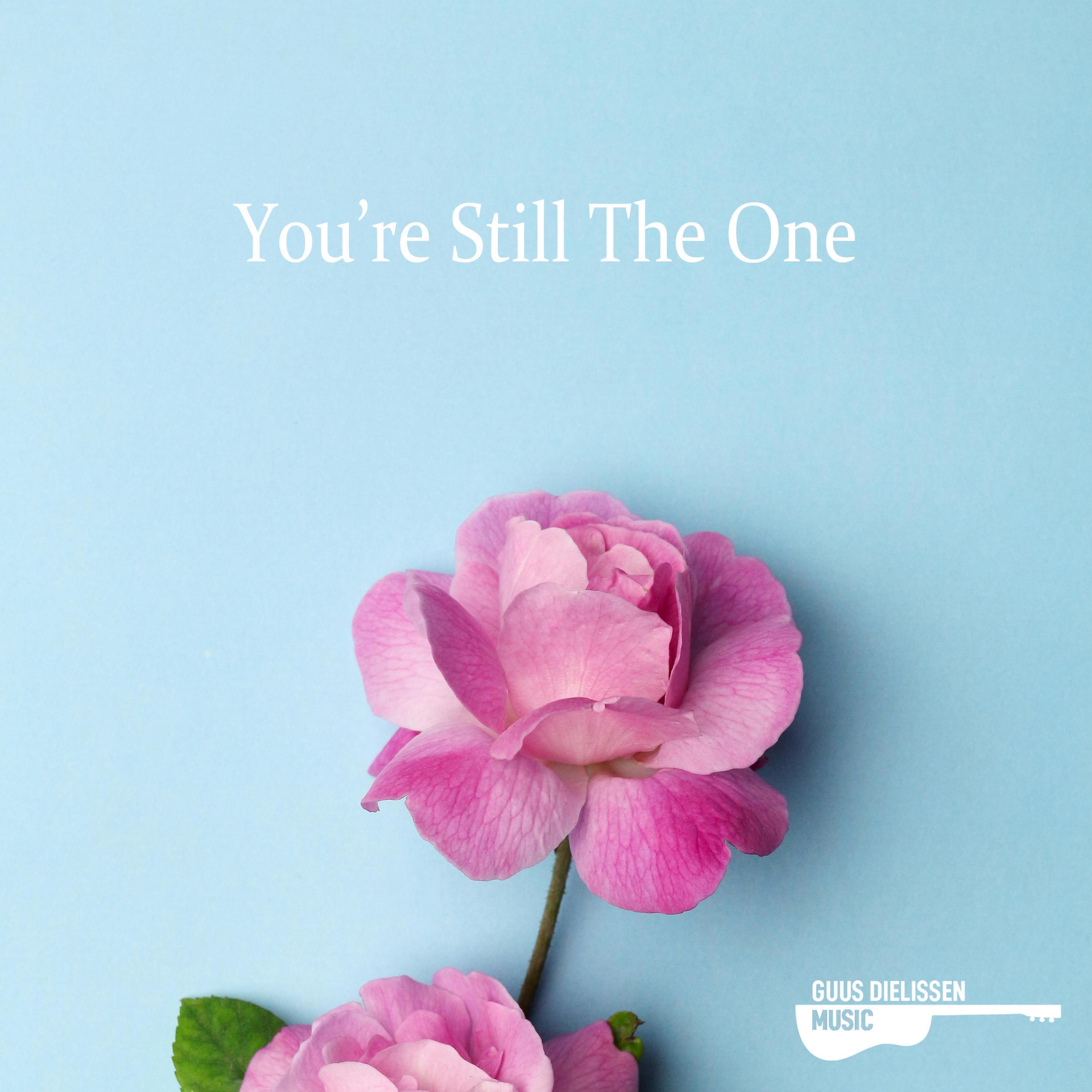 Релиз You're Still The One (acoustic instrumental)