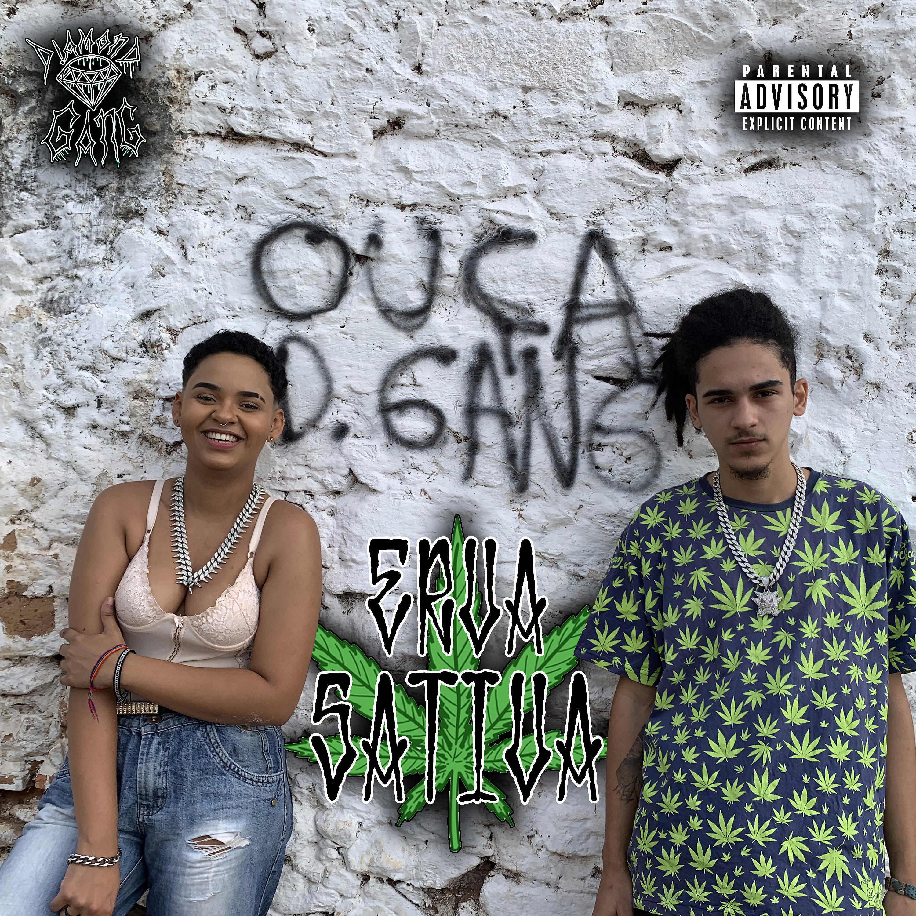 Релиз Erva Sativa