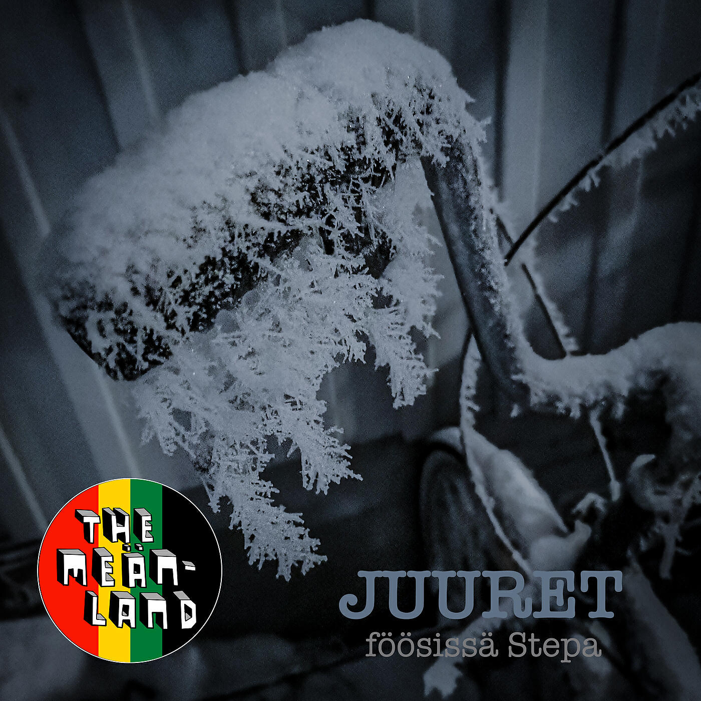 Постер альбома Juuret