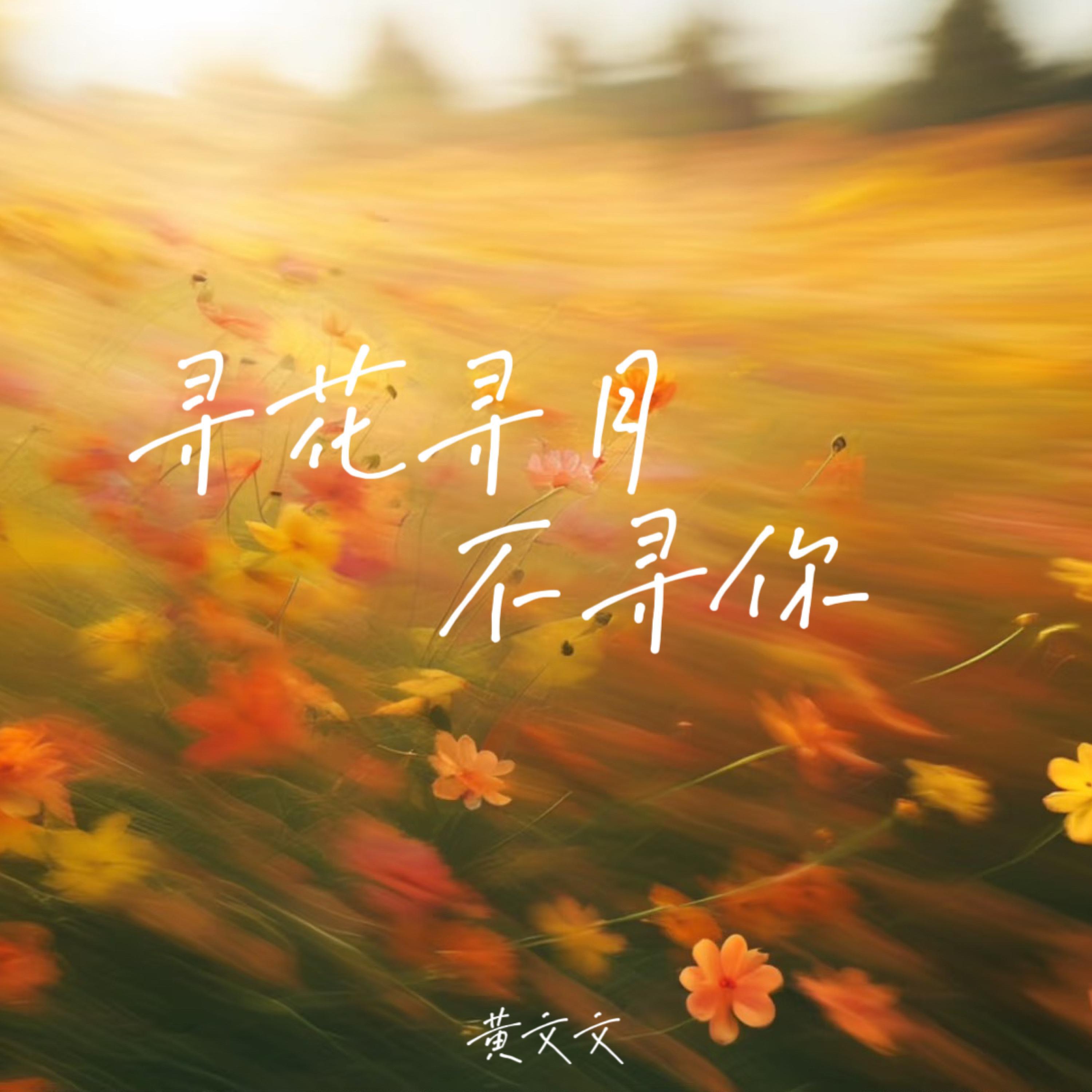 Релиз 寻花寻月不寻你