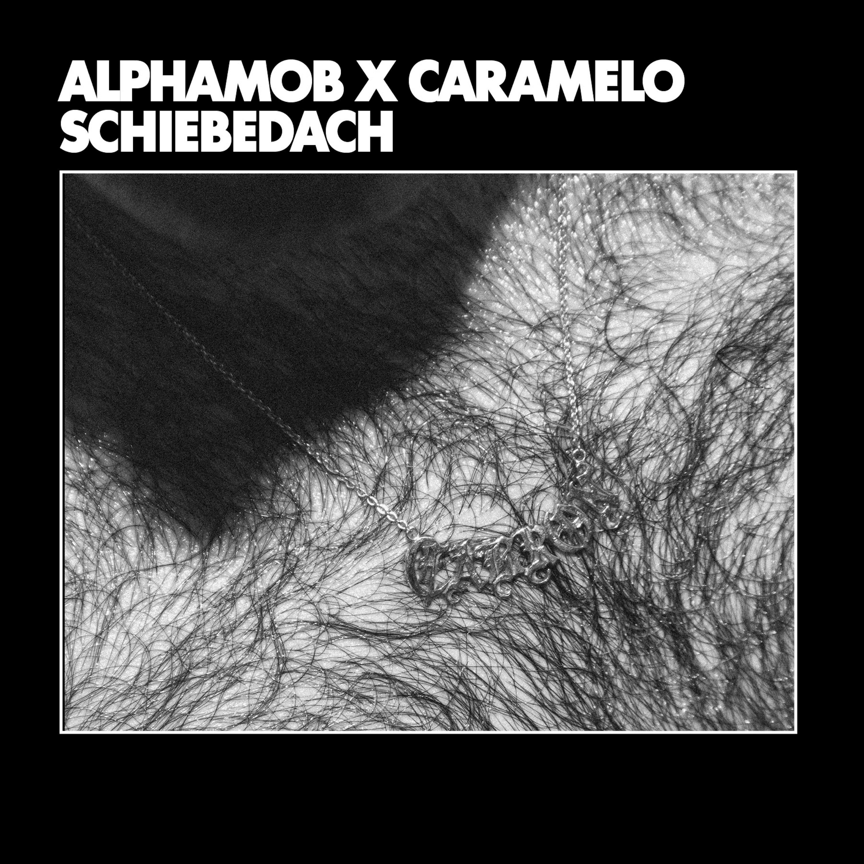 Релиз Schiebedach