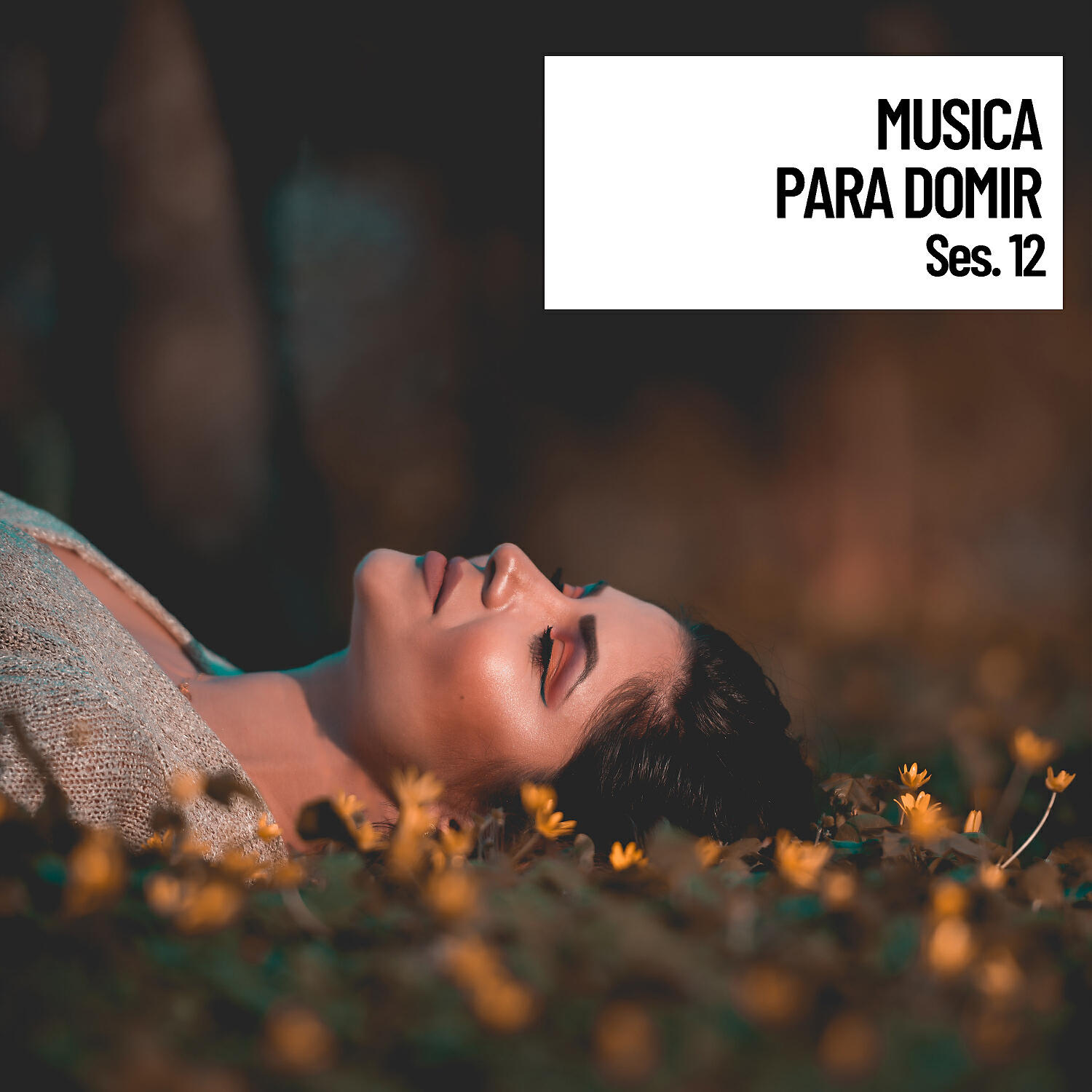 Релиз Paz y Musica para domir, relajantes sonidos y musica sesion 12