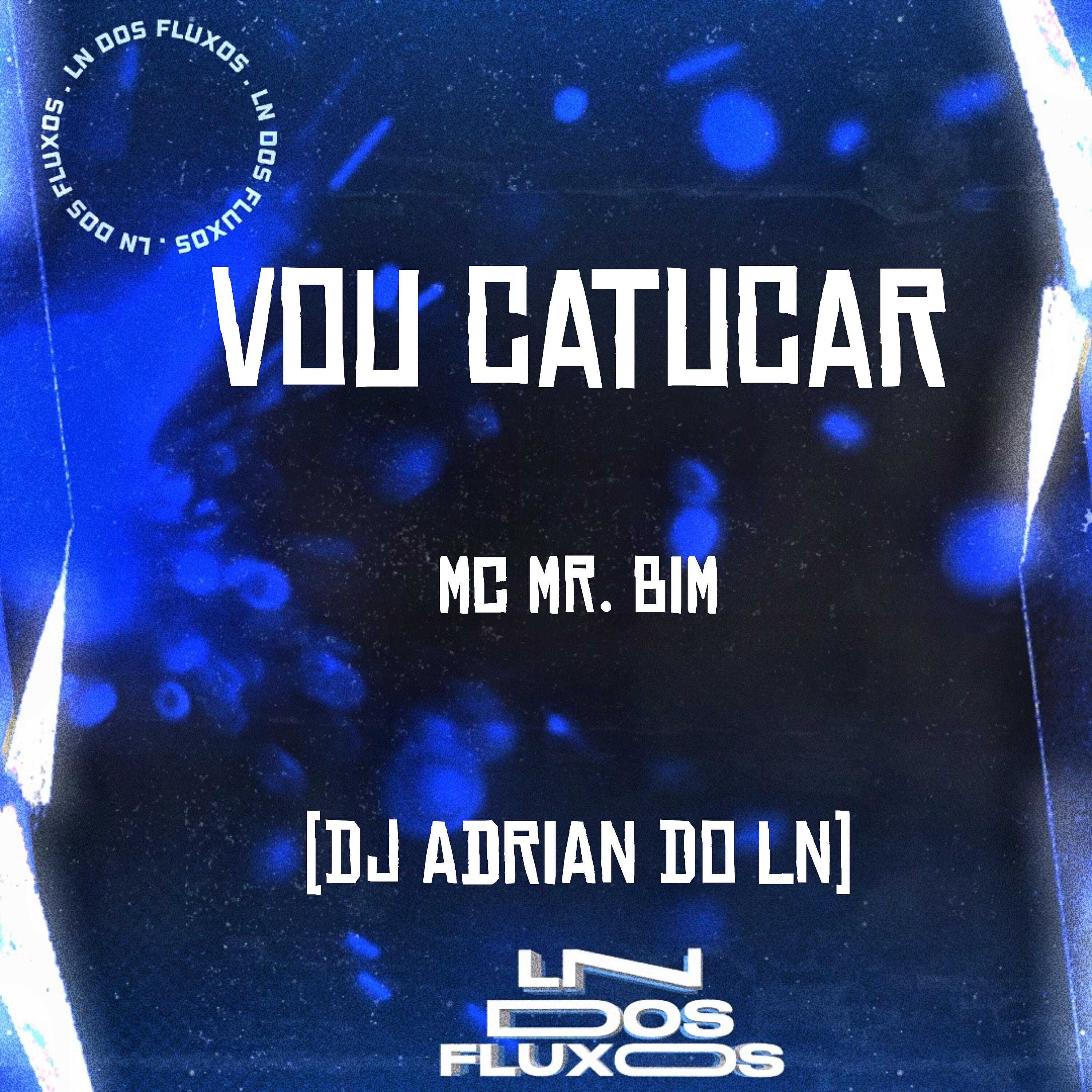 Скачать песню Mc Mr. Bim, DJ ADRIAN DO LN - Vou Catucar бесплатно в MP3 для Android и iOS