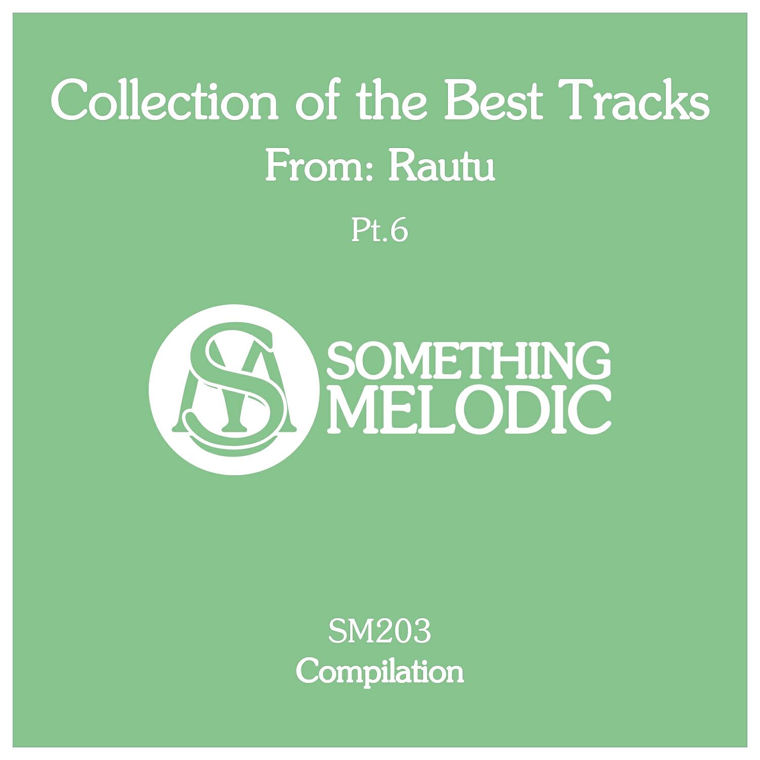 Релиз Collection of the Best Tracks From: Rautu, Pt. 6