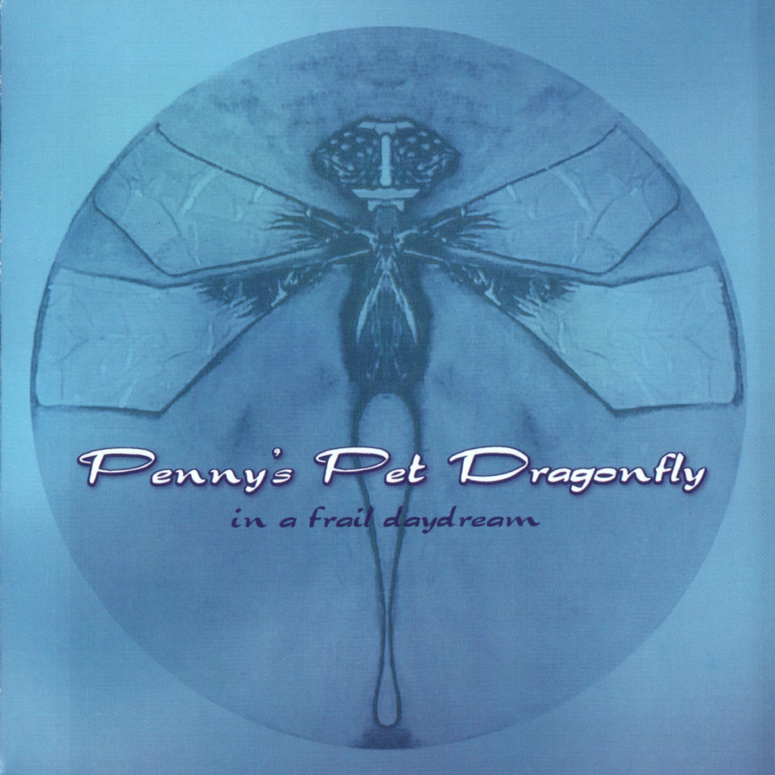 Релиз In A Frail Daydream