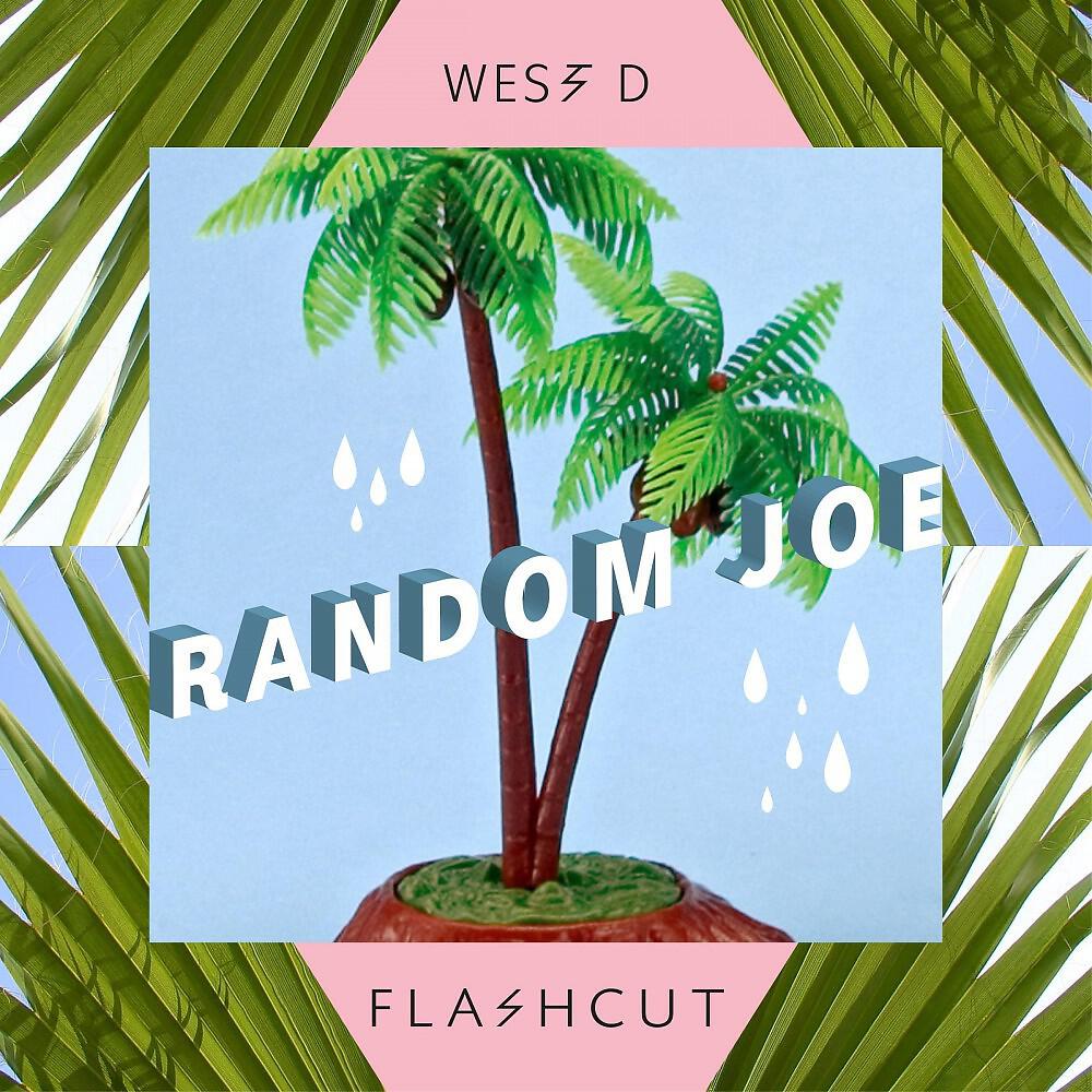 Постер альбома Random Joe