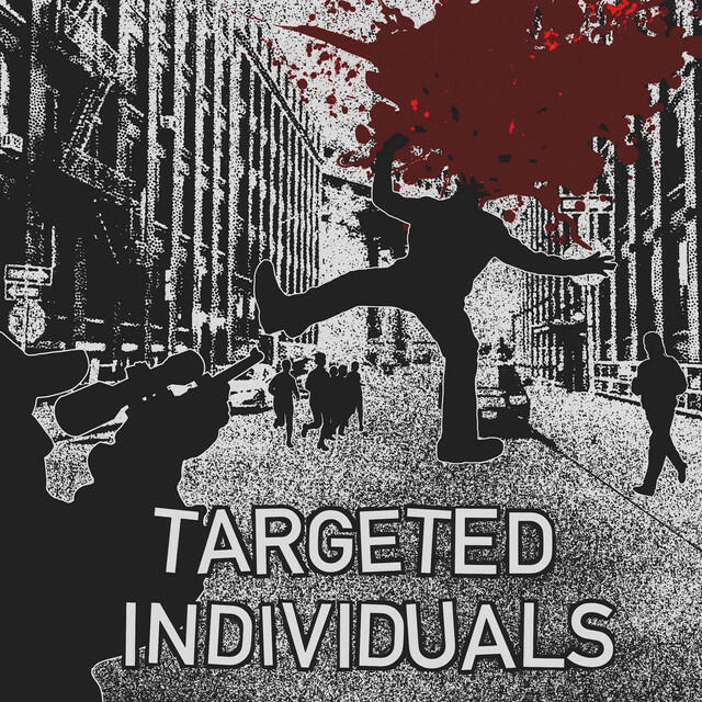 Релиз Targeted Individuals