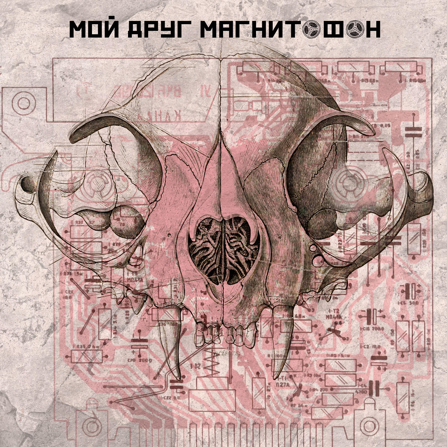 Релиз мой друг магнитофон