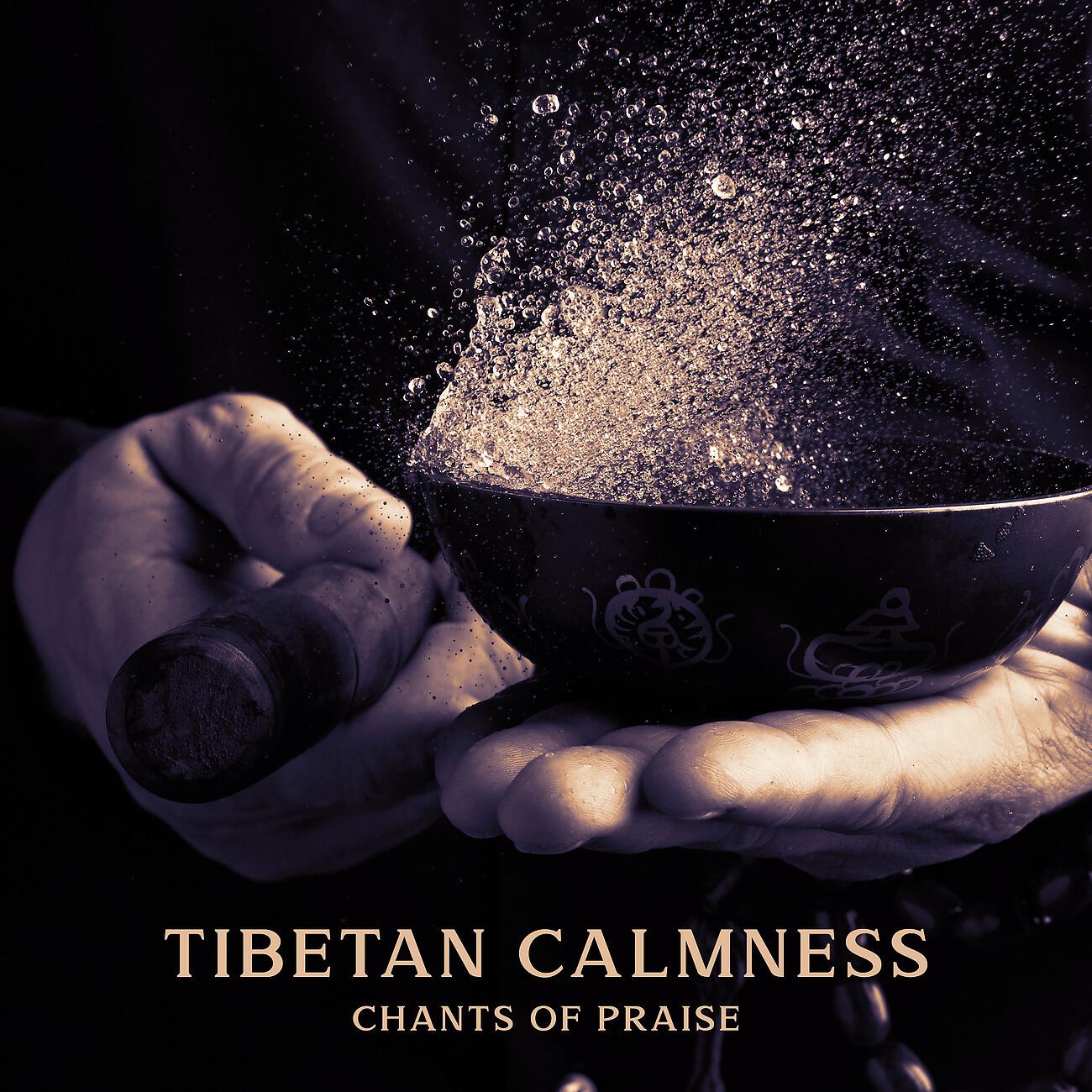 Релиз Tibetan Calmness