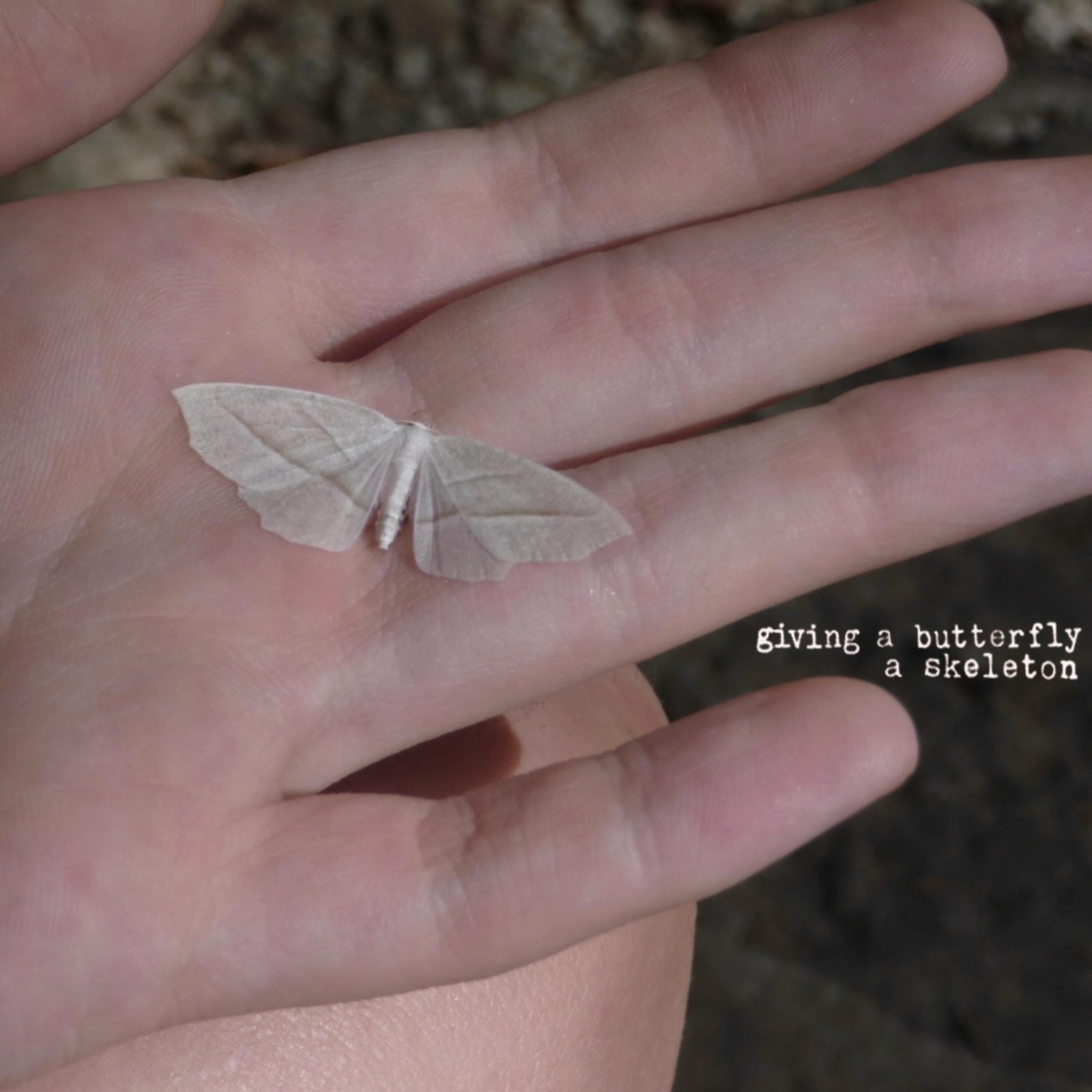 Релиз giving a butterfly a skeleton