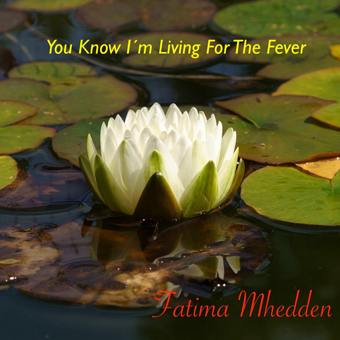 Релиз You Know I'm Living for the Fever