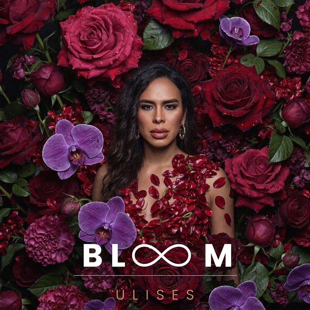 Релиз Bloom