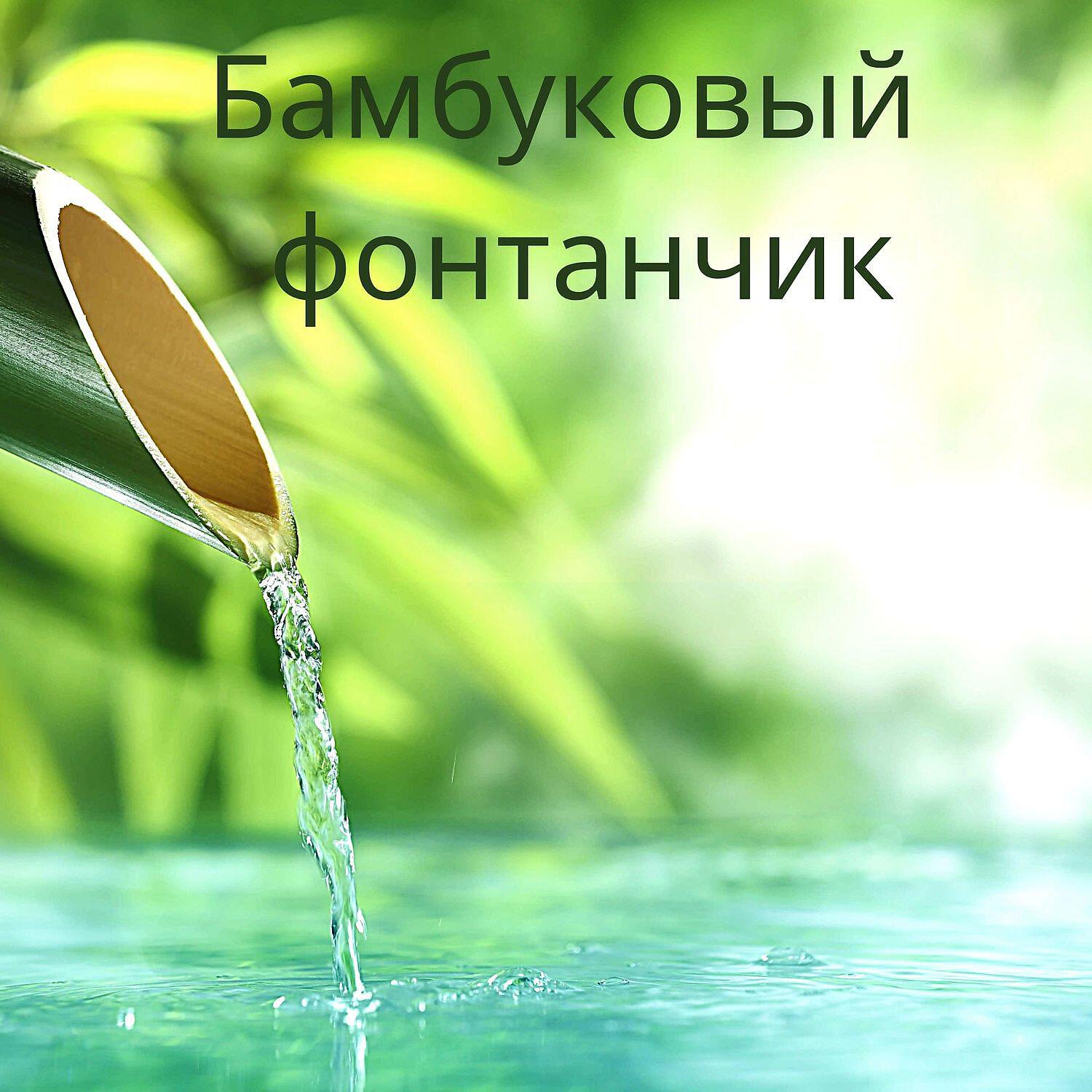 Постер альбома Бамбуковый фонтанчик: Расслабляющие звуки природы, Тибетские чаши
