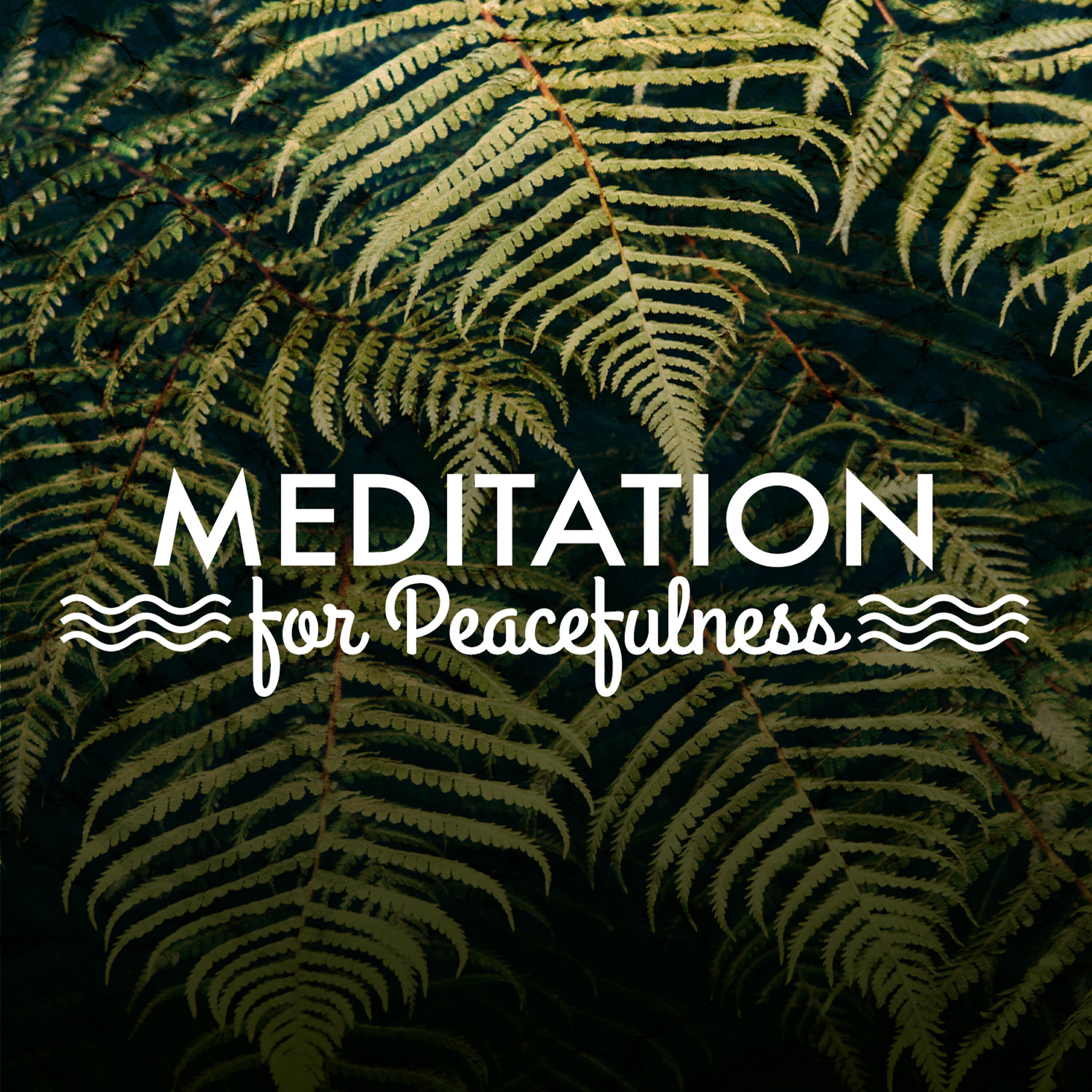 Релиз Meditation for Peacefulness