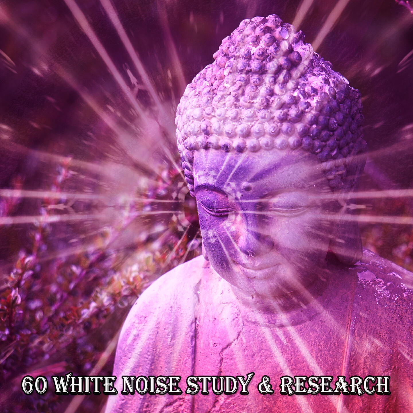 Постер альбома 60 White Noise Study & Research