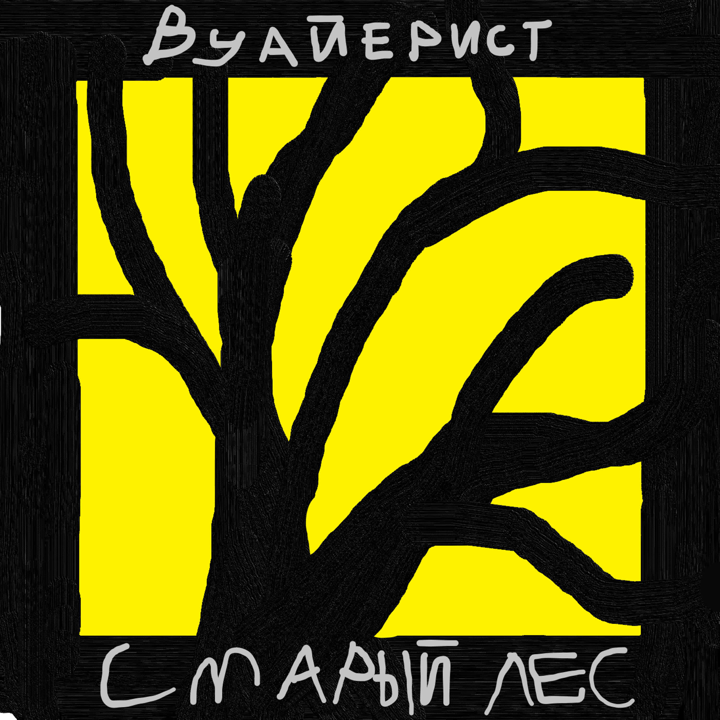 Релиз Вуайерист