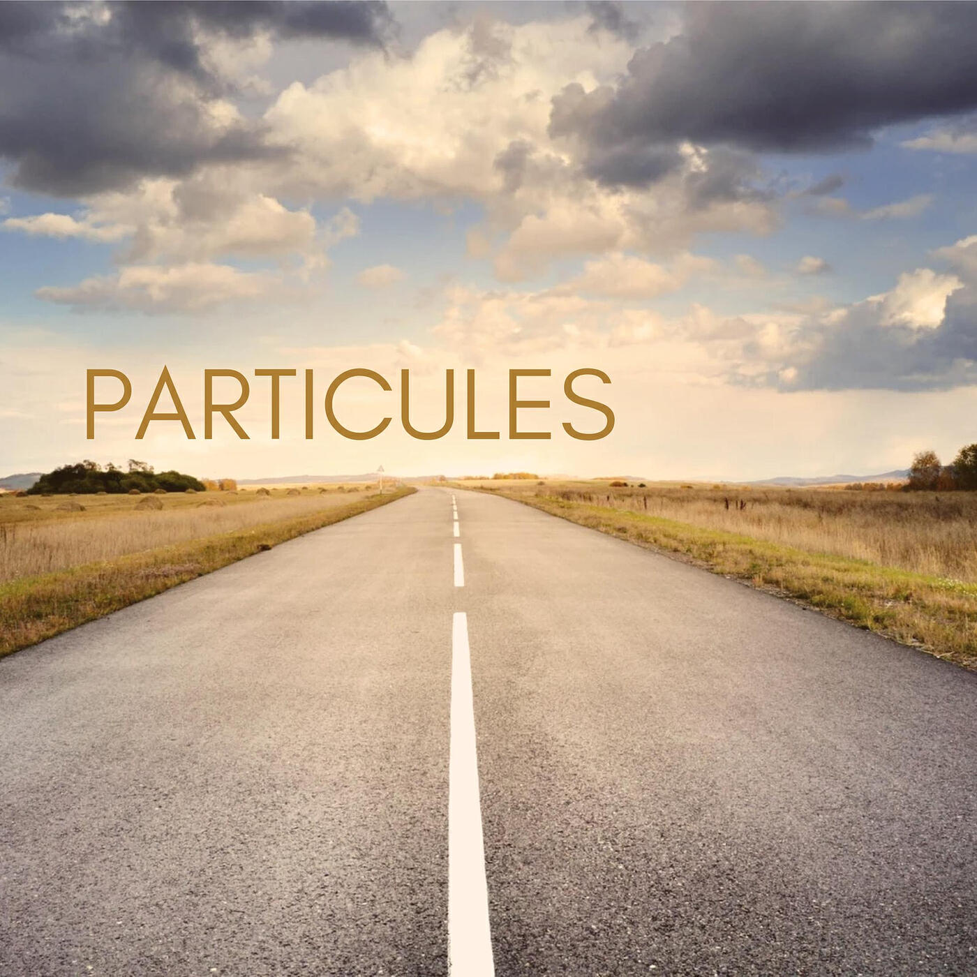 Релиз Particules