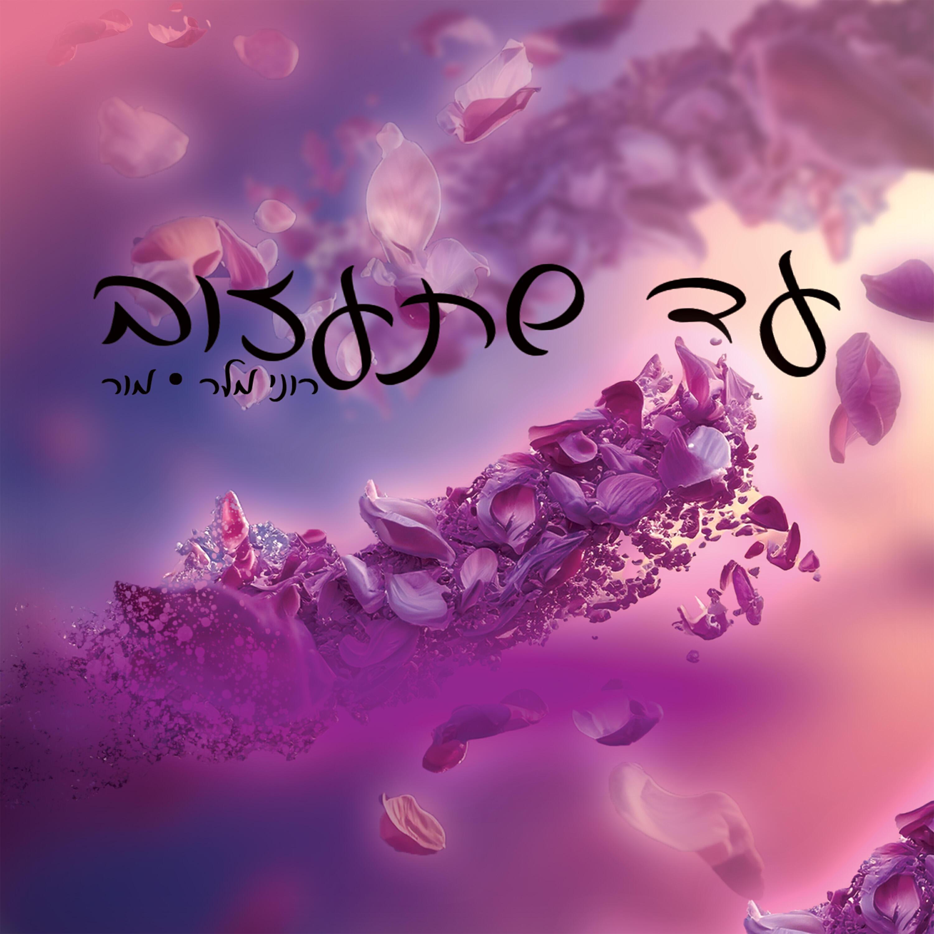 Релиз עד שתעזוב