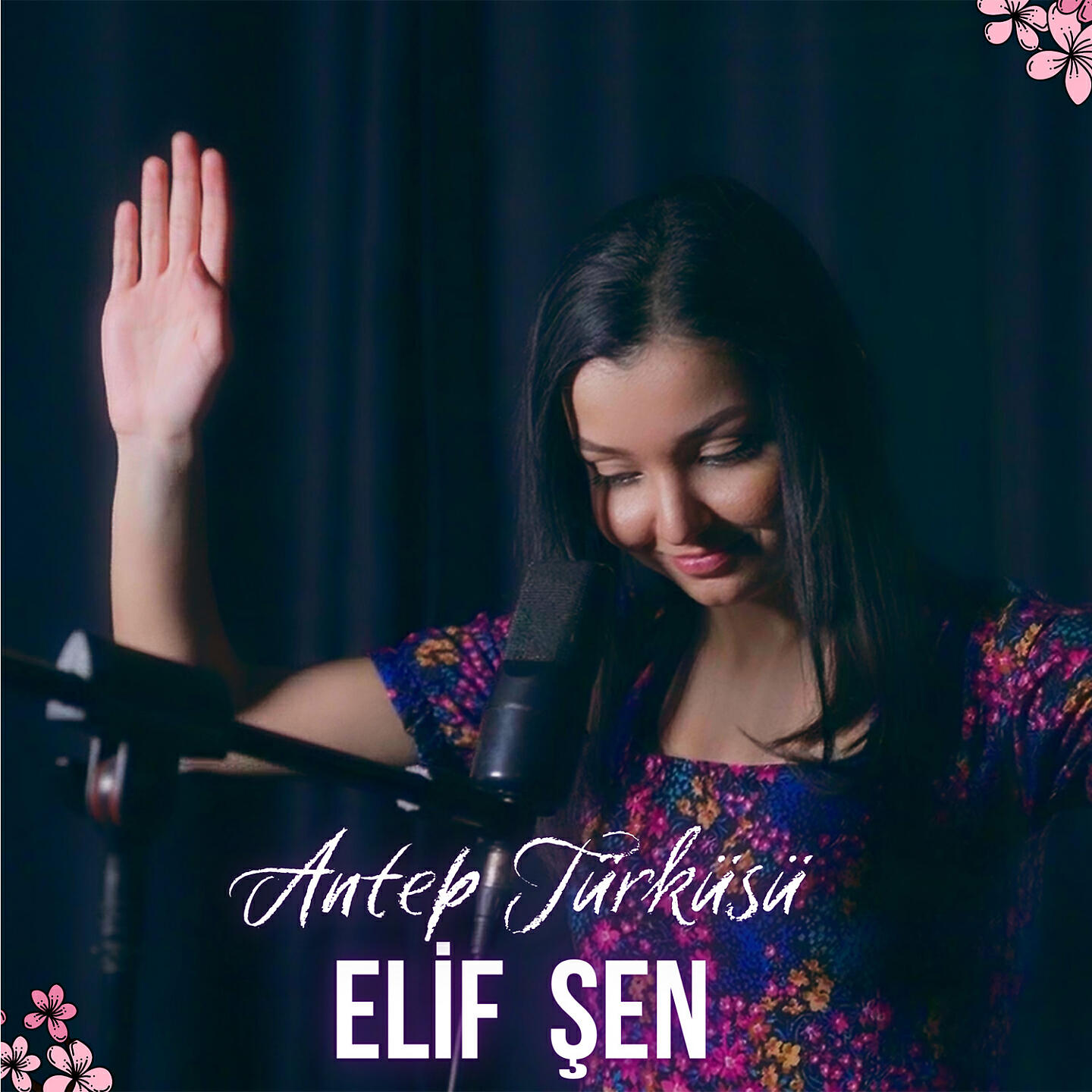 Релиз Antep Türküsü