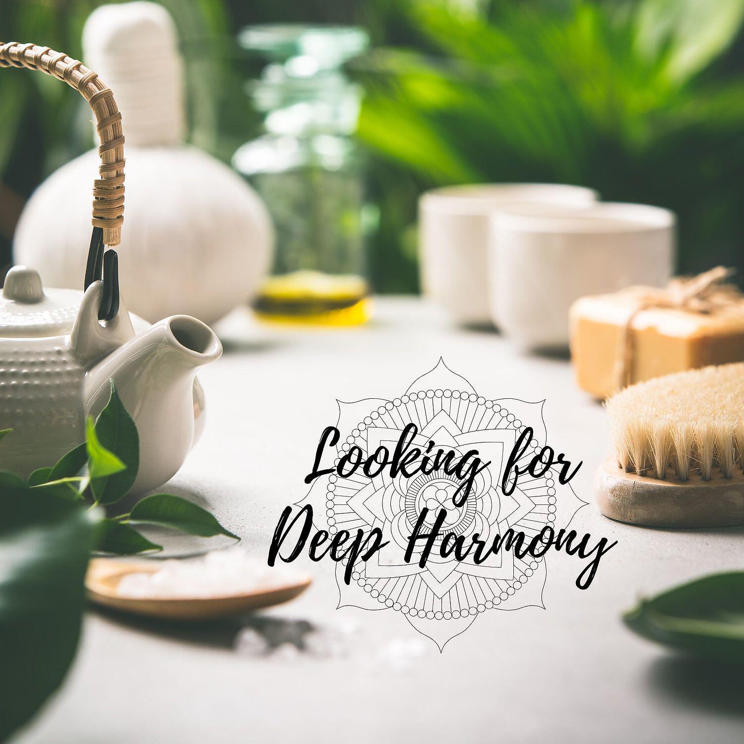 Релиз Looking for Deep Harmony